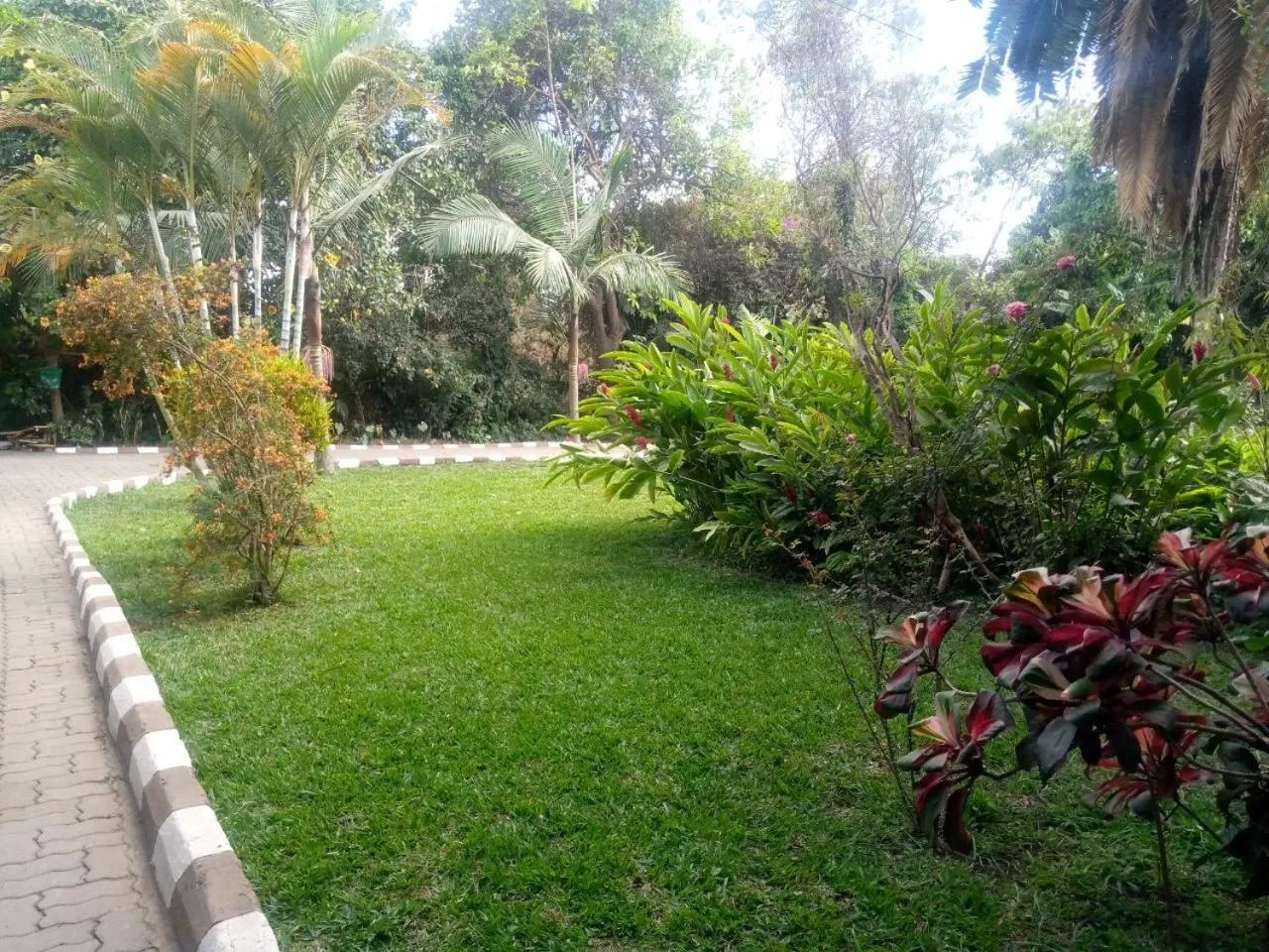 Garden in Karibu Heritage House