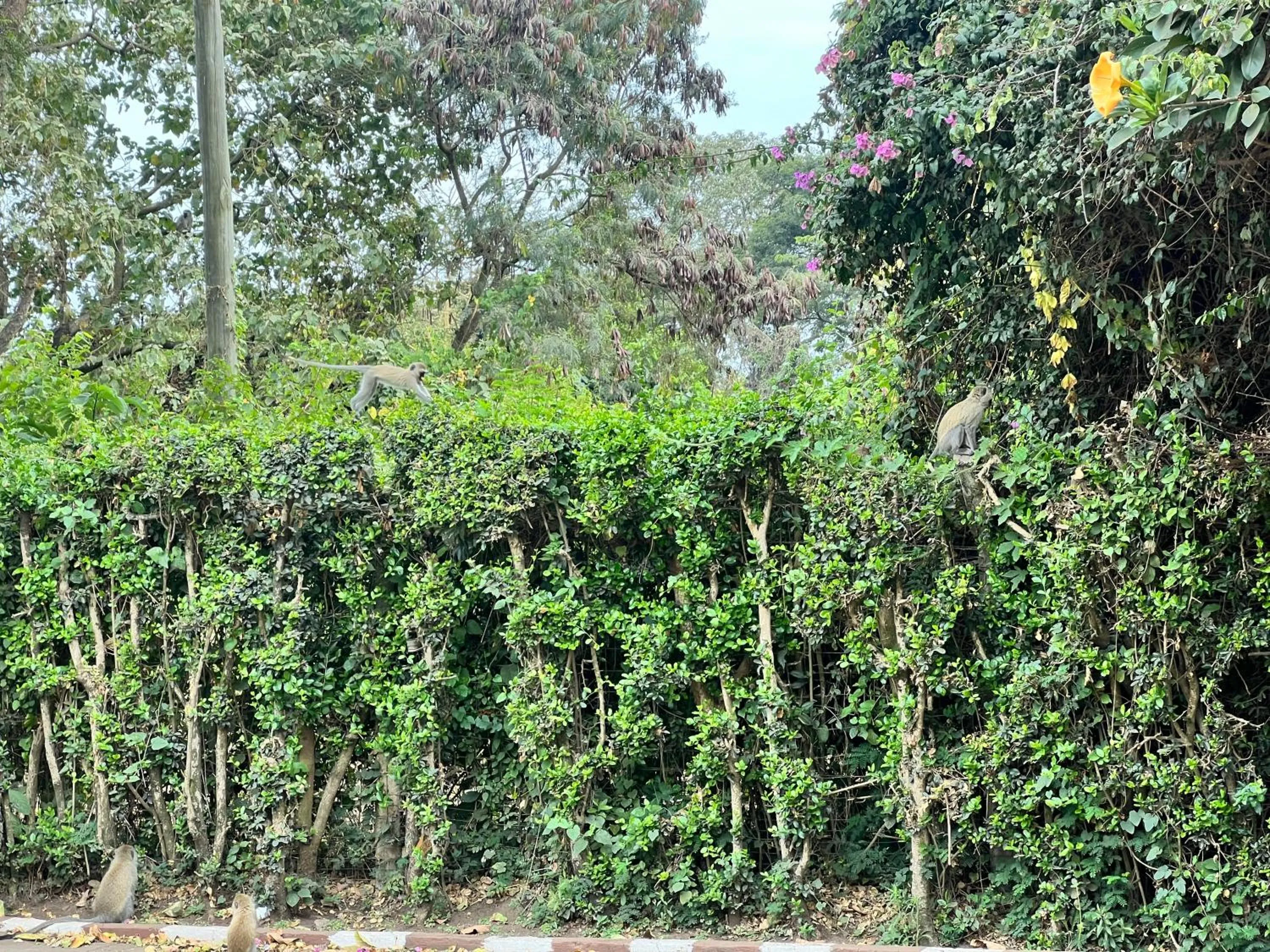 Karibu Heritage House