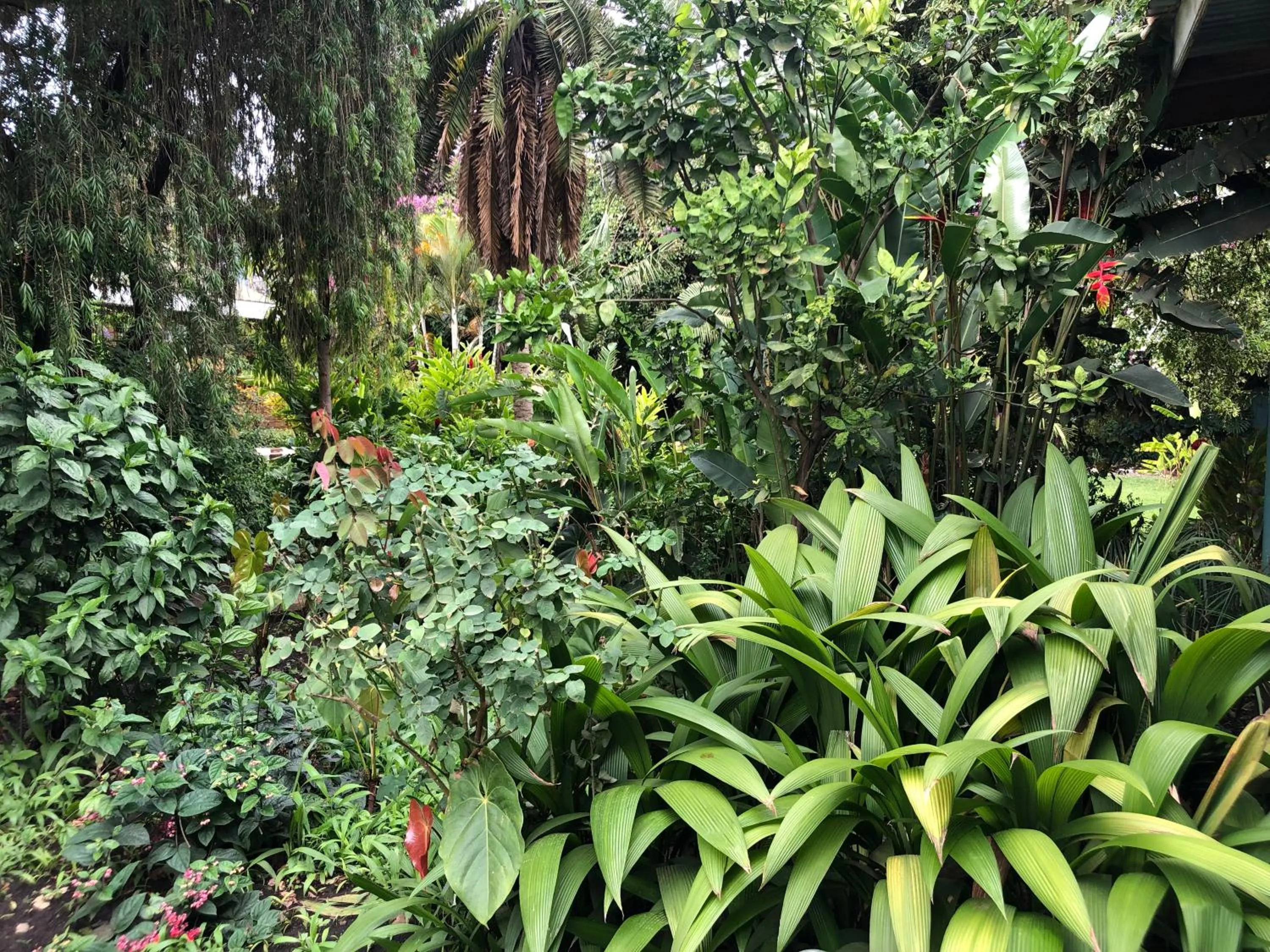 Karibu Heritage House