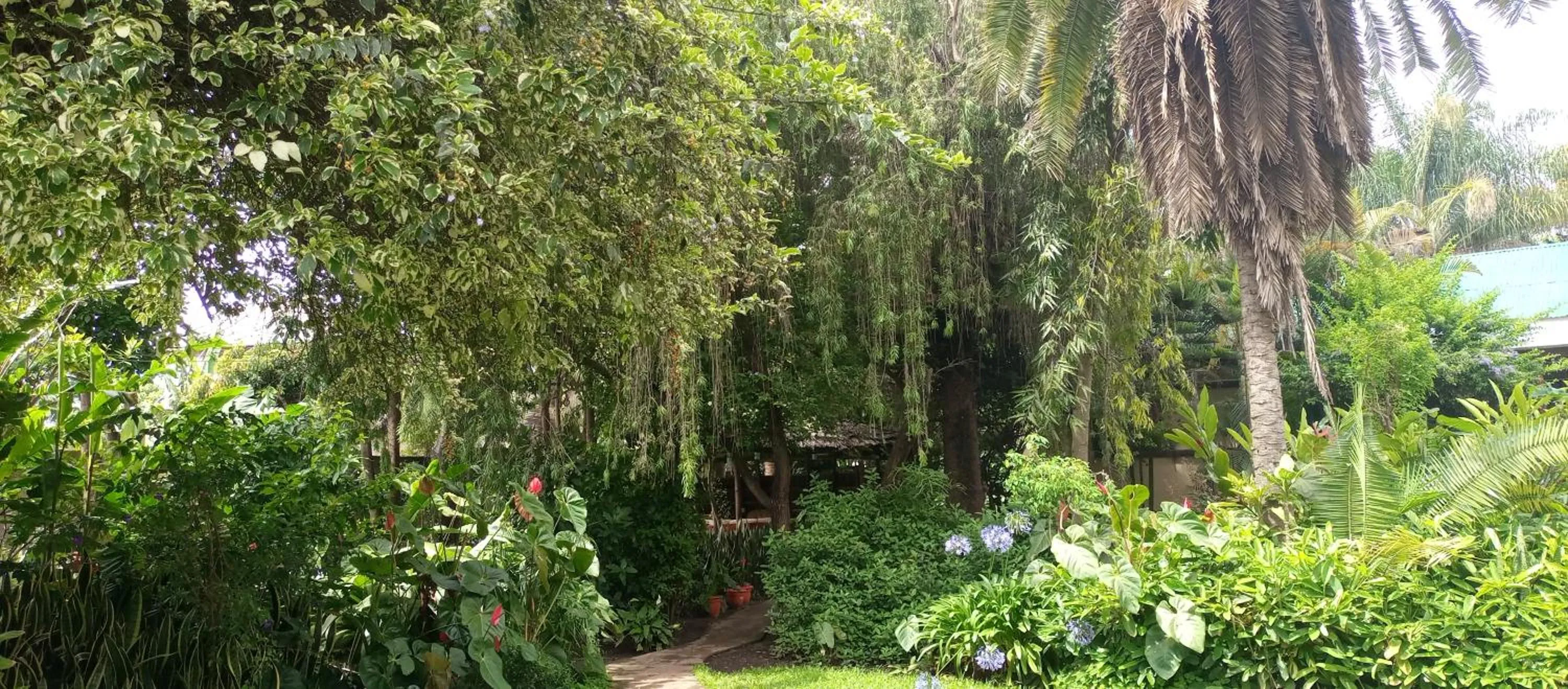 Garden in Karibu Heritage House
