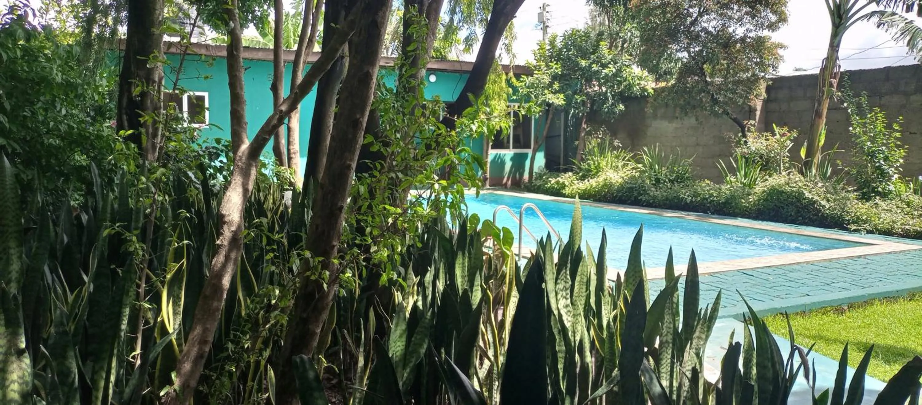 Swimming pool in Karibu Heritage House