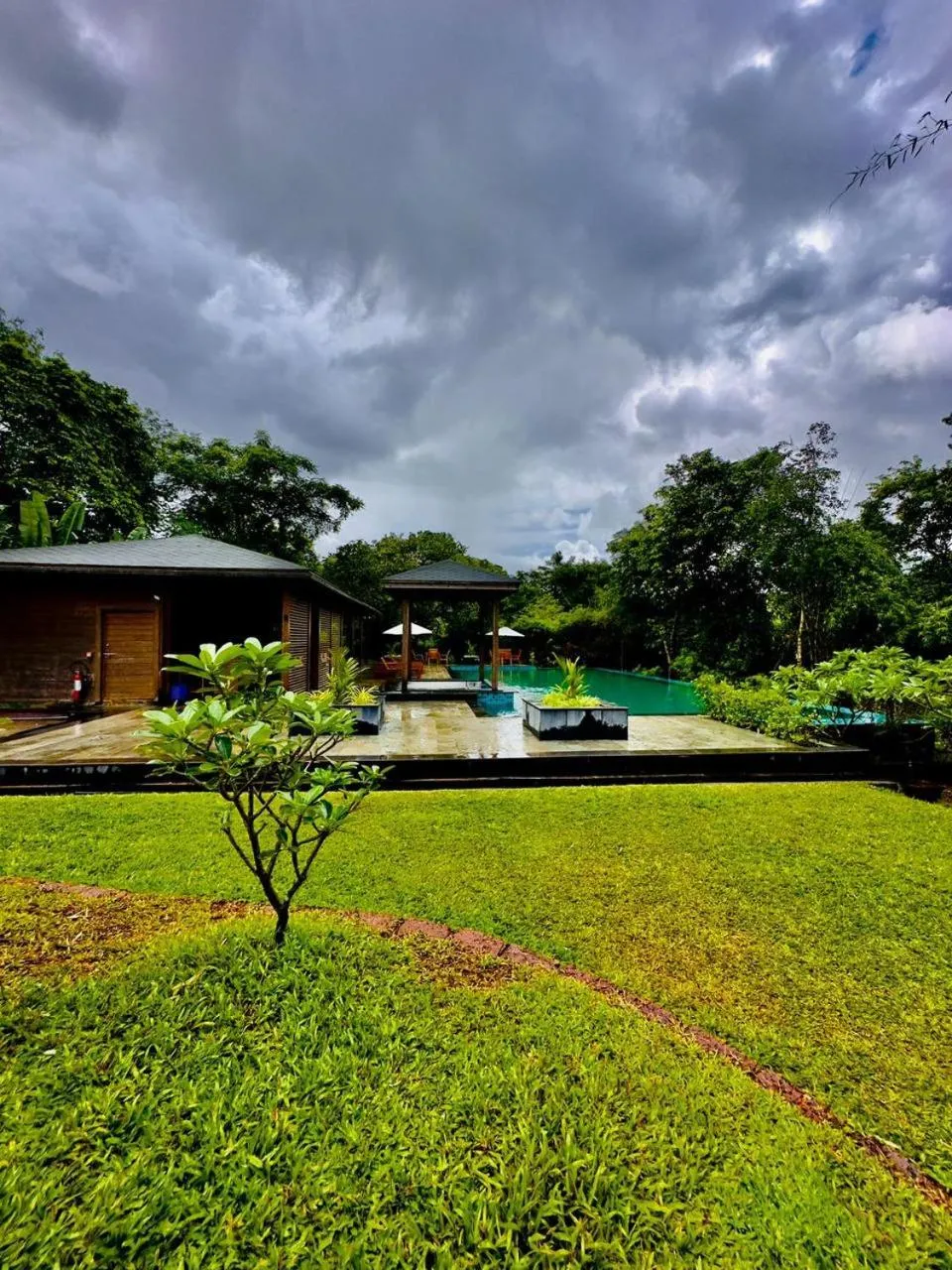 Natural landscape in The Postcard Hideaway, Netravali Wildlife Sanctuary, Goa
