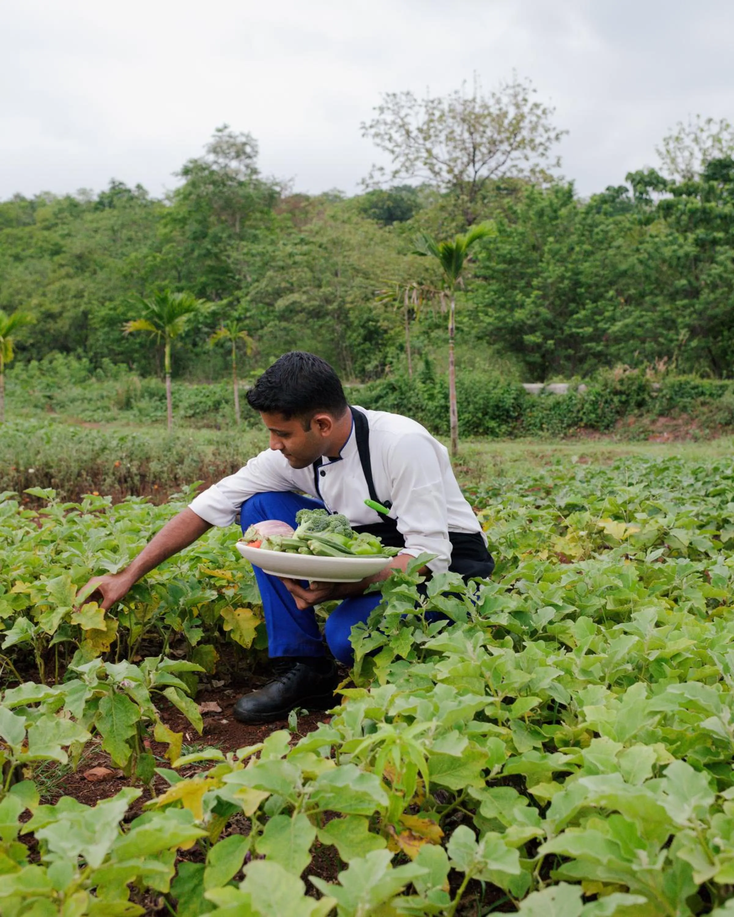 Garden in The Postcard Hideaway, Netravali Wildlife Sanctuary, Goa