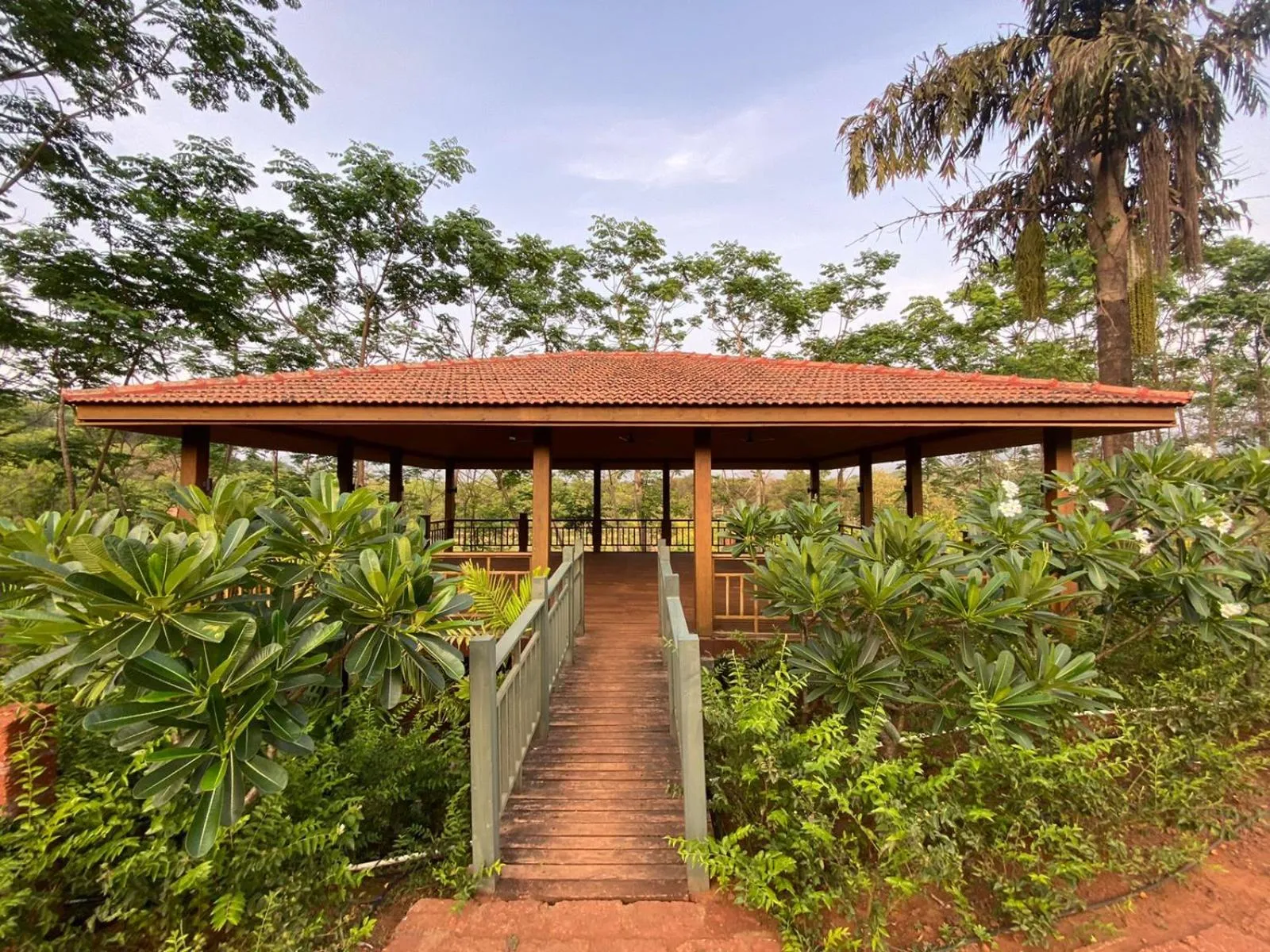 Garden in The Postcard Hideaway, Netravali Wildlife Sanctuary, Goa