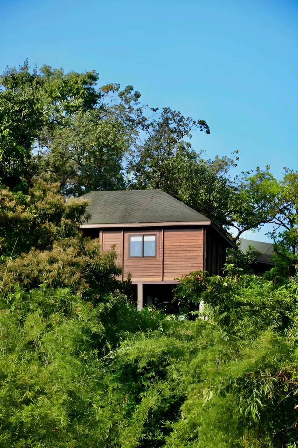 Natural landscape in The Postcard Hideaway, Netravali Wildlife Sanctuary, Goa