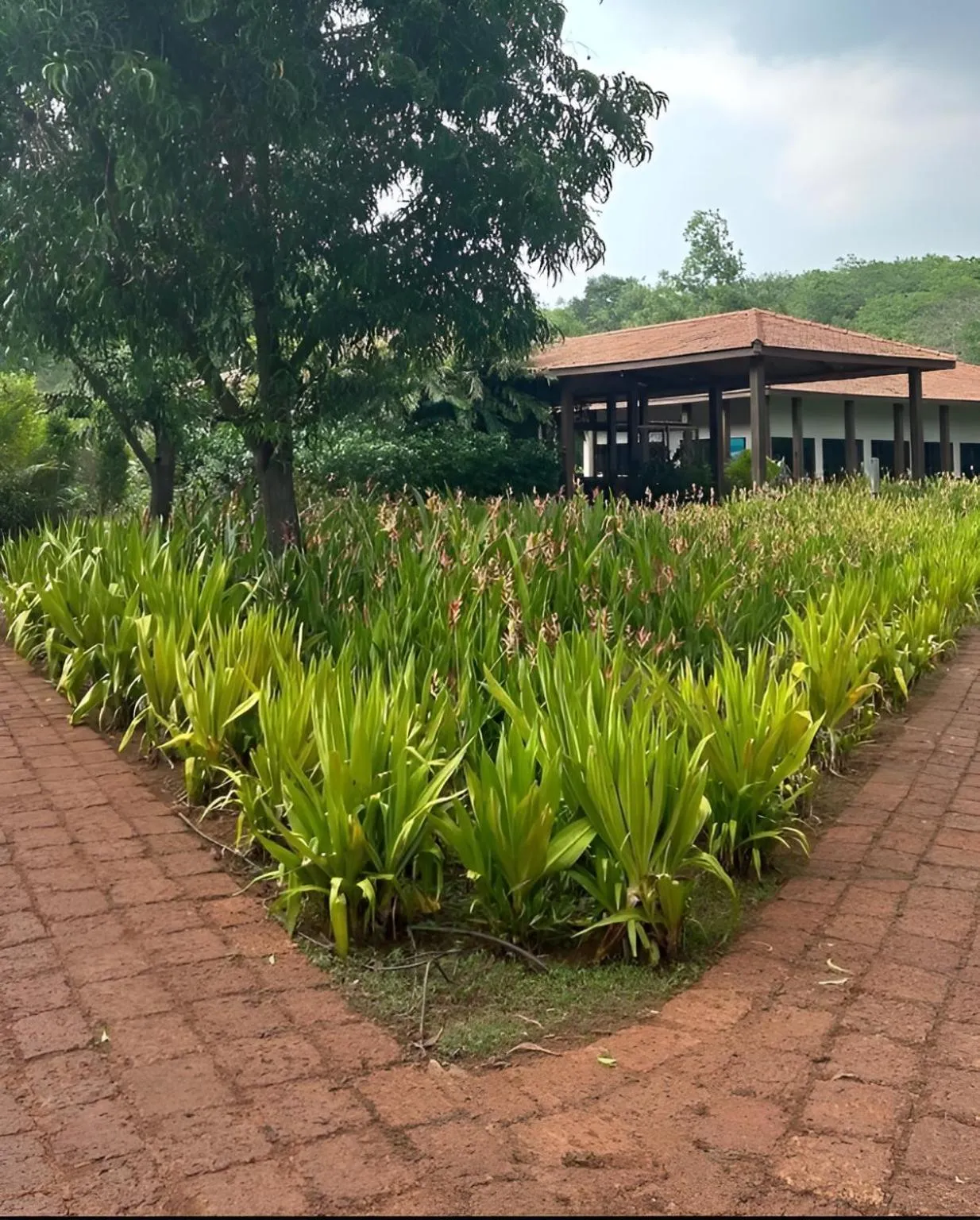 Property building in The Postcard Hideaway, Netravali Wildlife Sanctuary, Goa