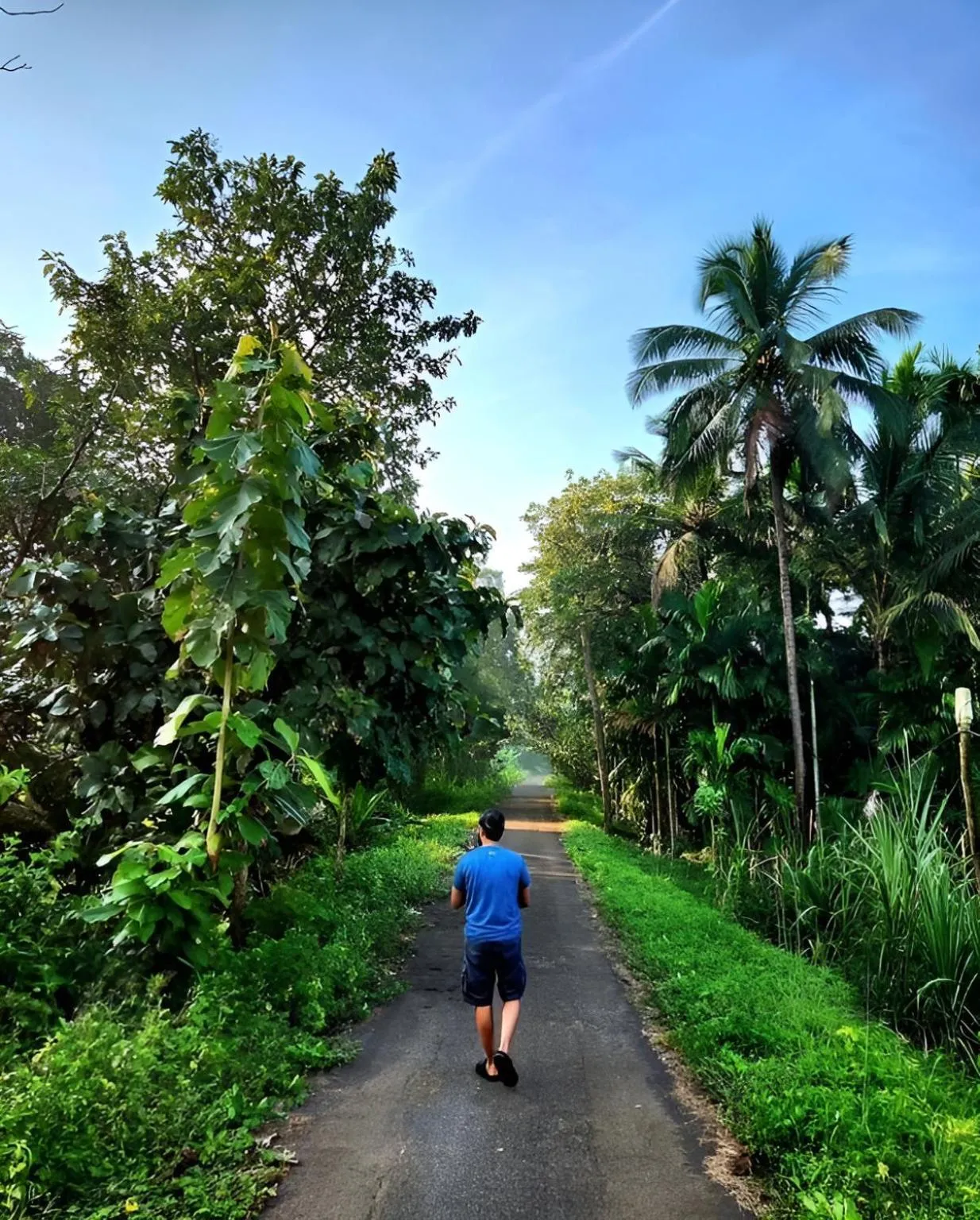 Natural landscape in The Postcard Hideaway, Netravali Wildlife Sanctuary, Goa