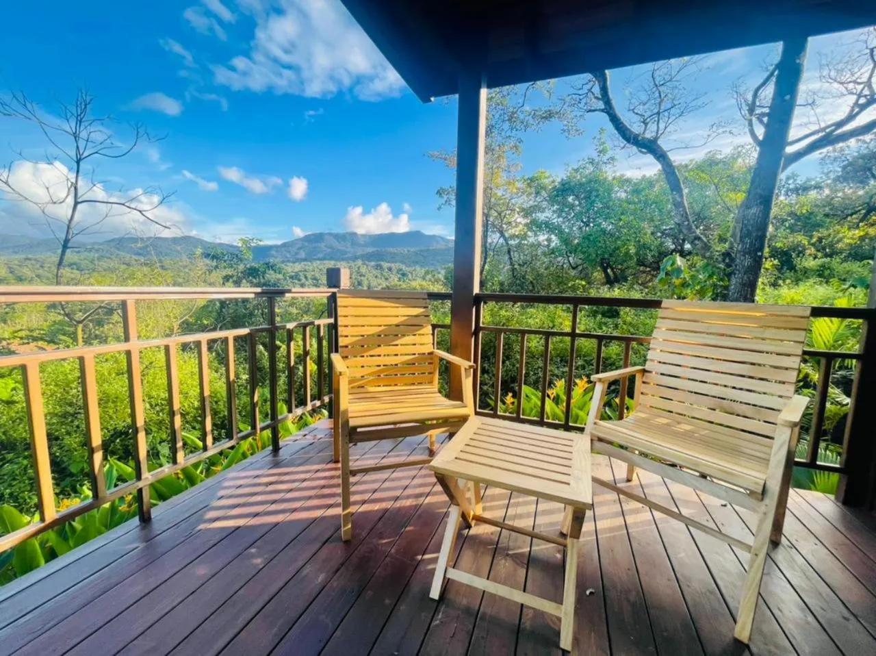Natural landscape in The Postcard Hideaway, Netravali Wildlife Sanctuary, Goa
