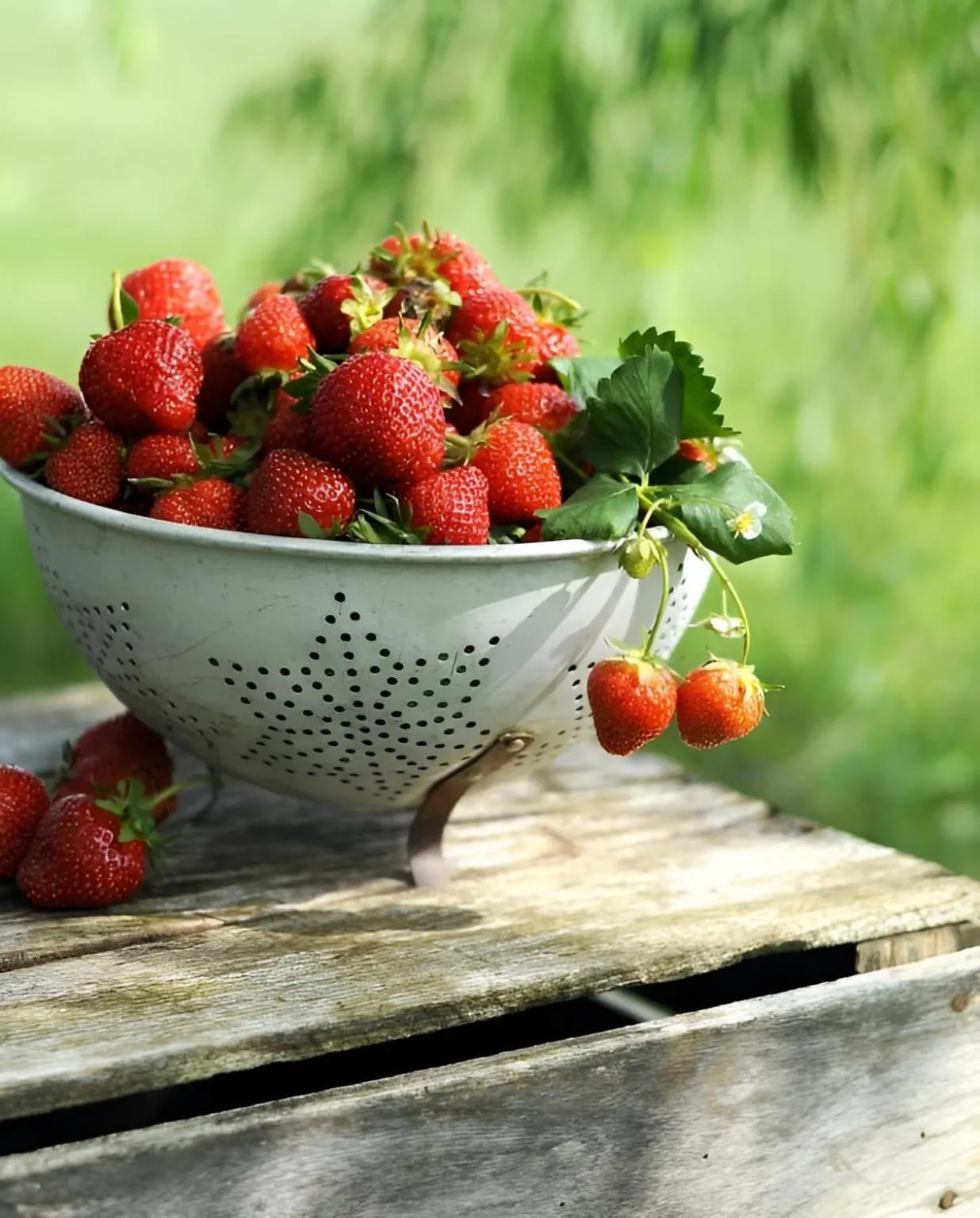 Food in The Postcard Hideaway, Netravali Wildlife Sanctuary, Goa