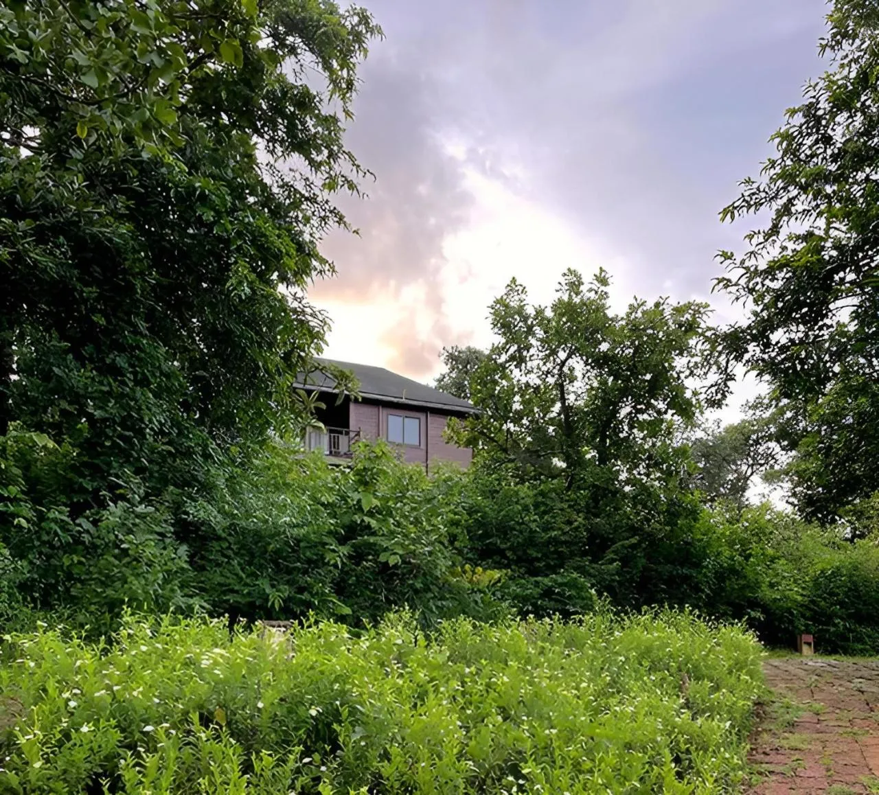 Property building in The Postcard Hideaway, Netravali Wildlife Sanctuary, Goa