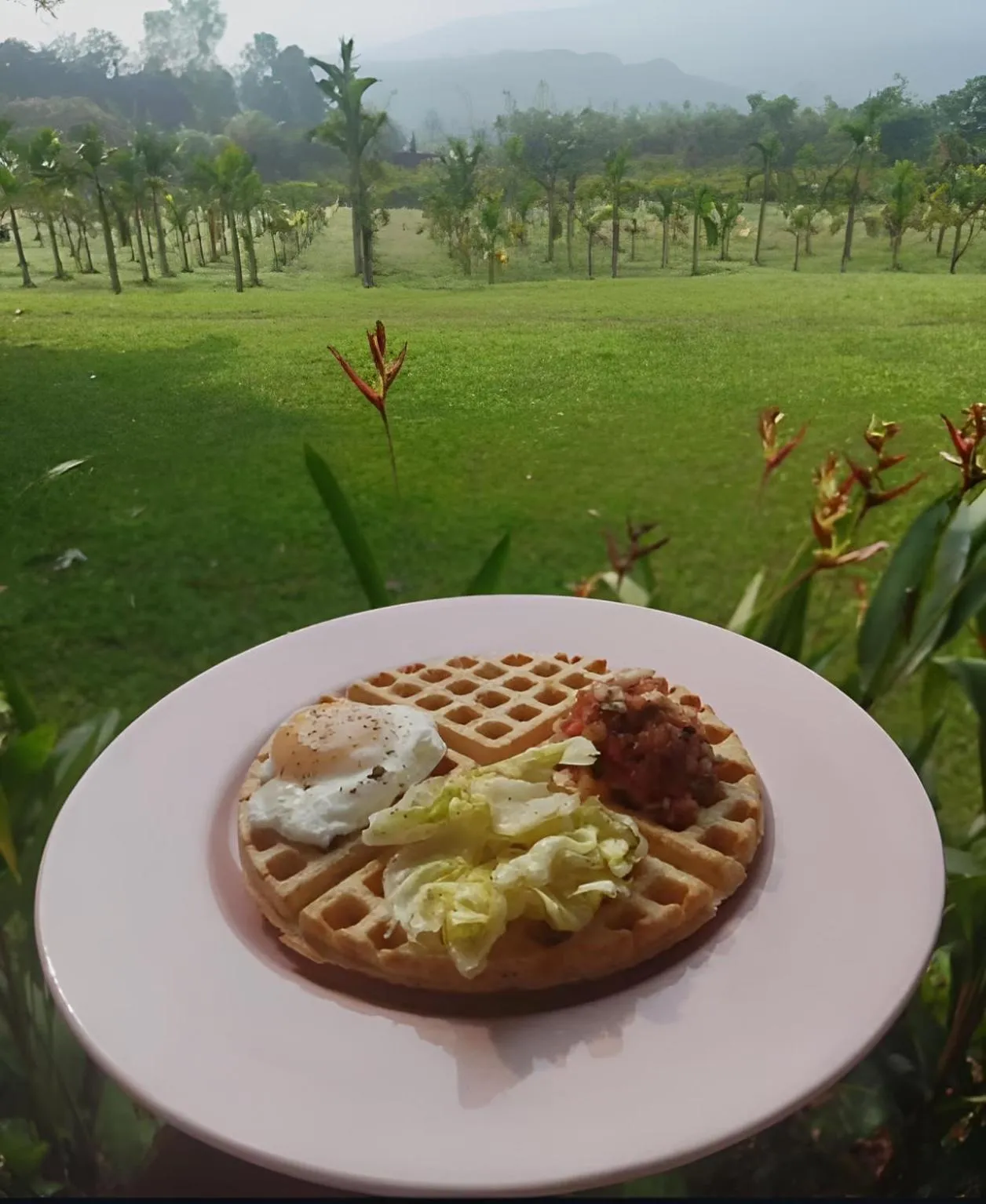 Restaurant/places to eat in The Postcard Hideaway, Netravali Wildlife Sanctuary, Goa