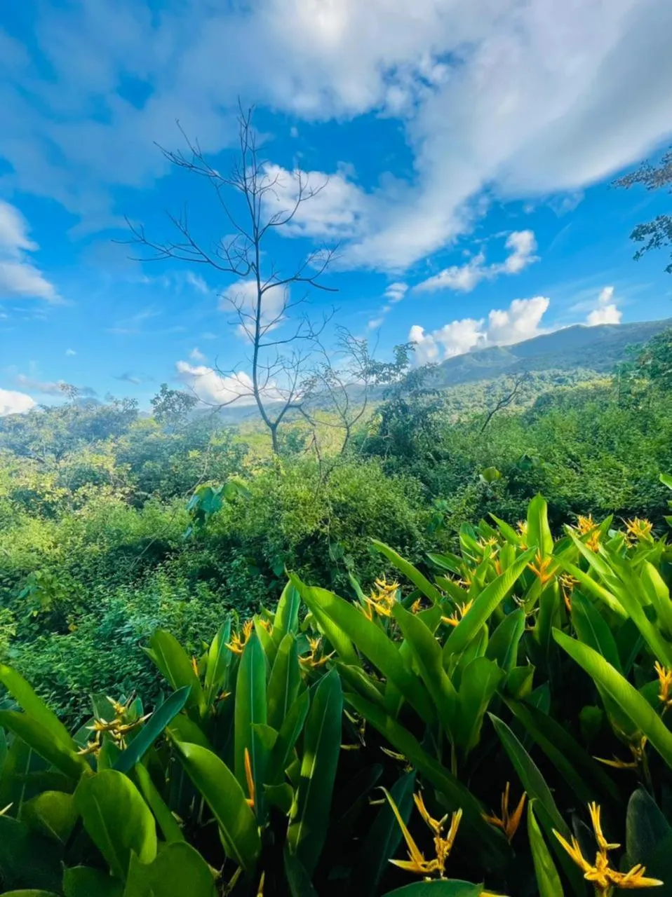Mountain view in The Postcard Hideaway, Netravali Wildlife Sanctuary, Goa