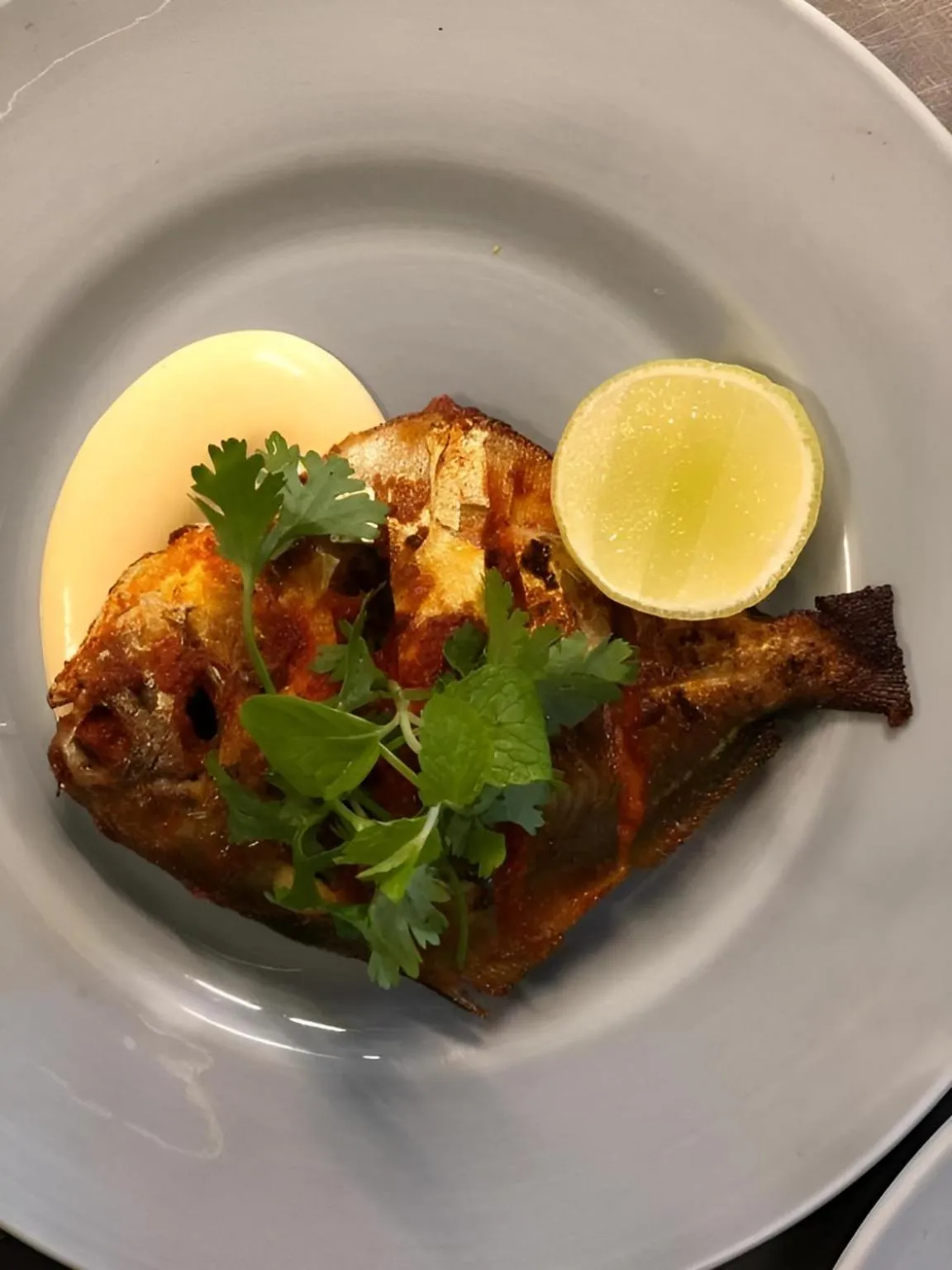 Restaurant/places to eat in The Postcard Hideaway, Netravali Wildlife Sanctuary, Goa