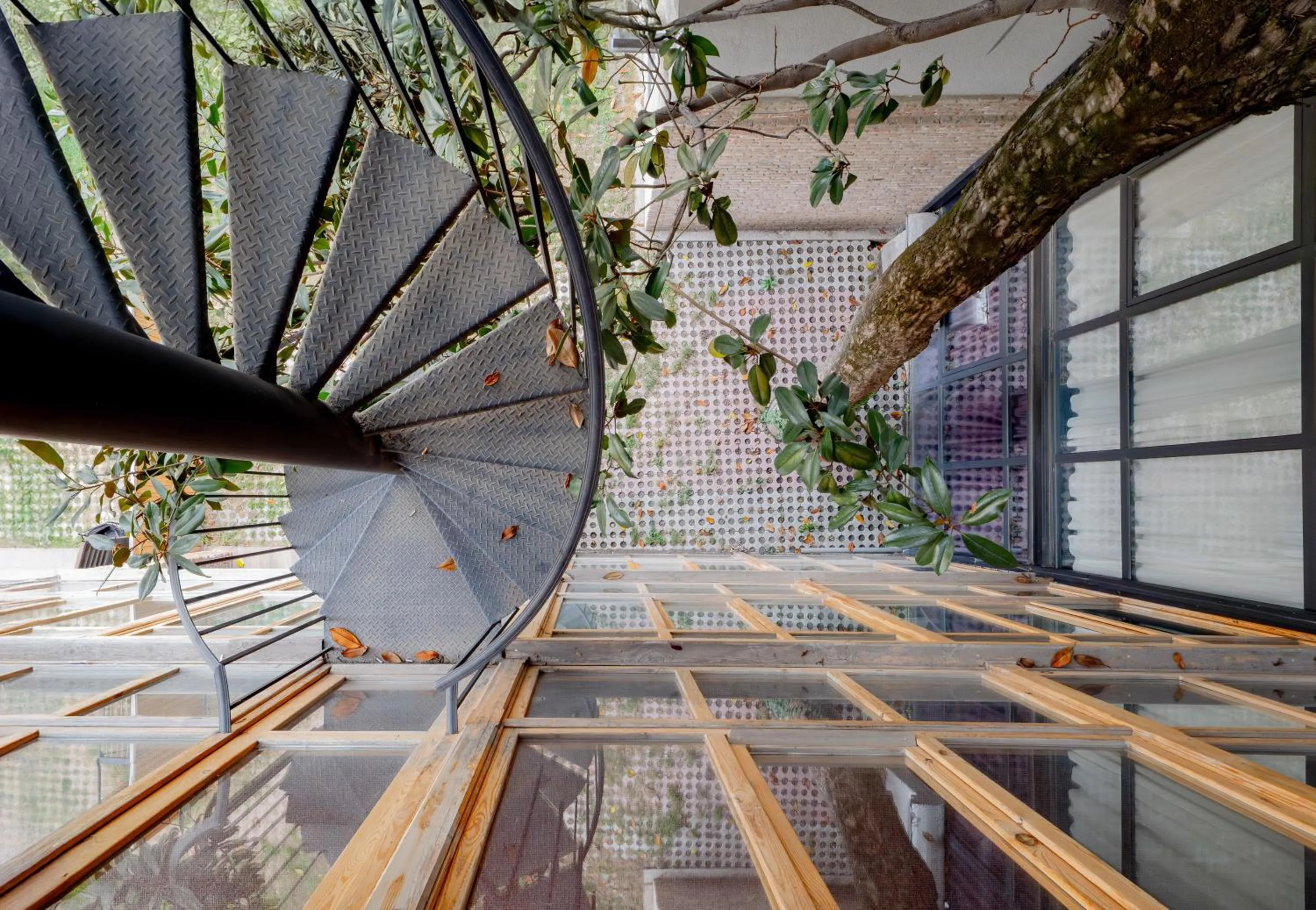 Quiet street view in Magnolia