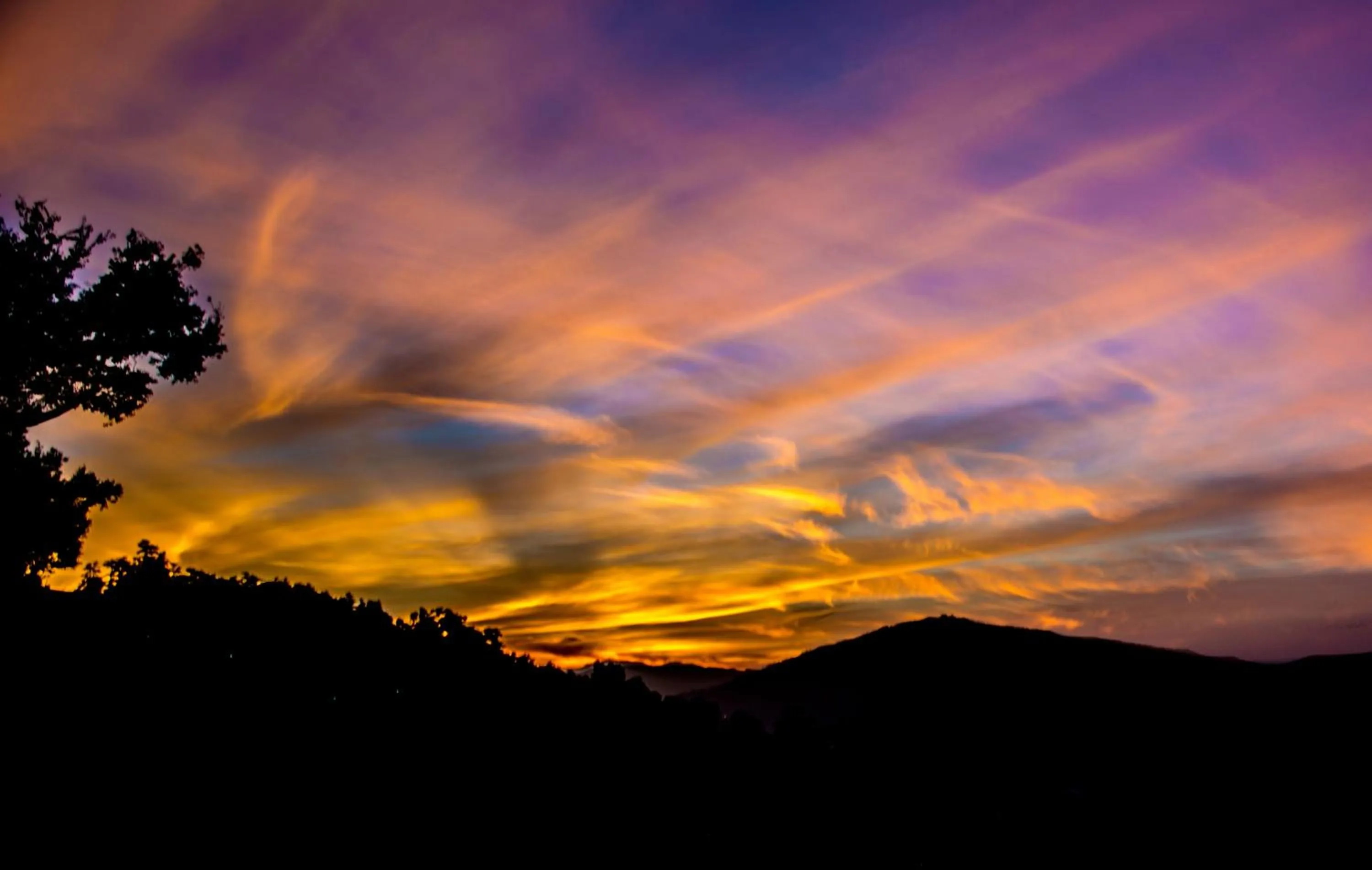 Natural landscape in Captains Paradise Luxury Resort at Mukteshwar Hill Station