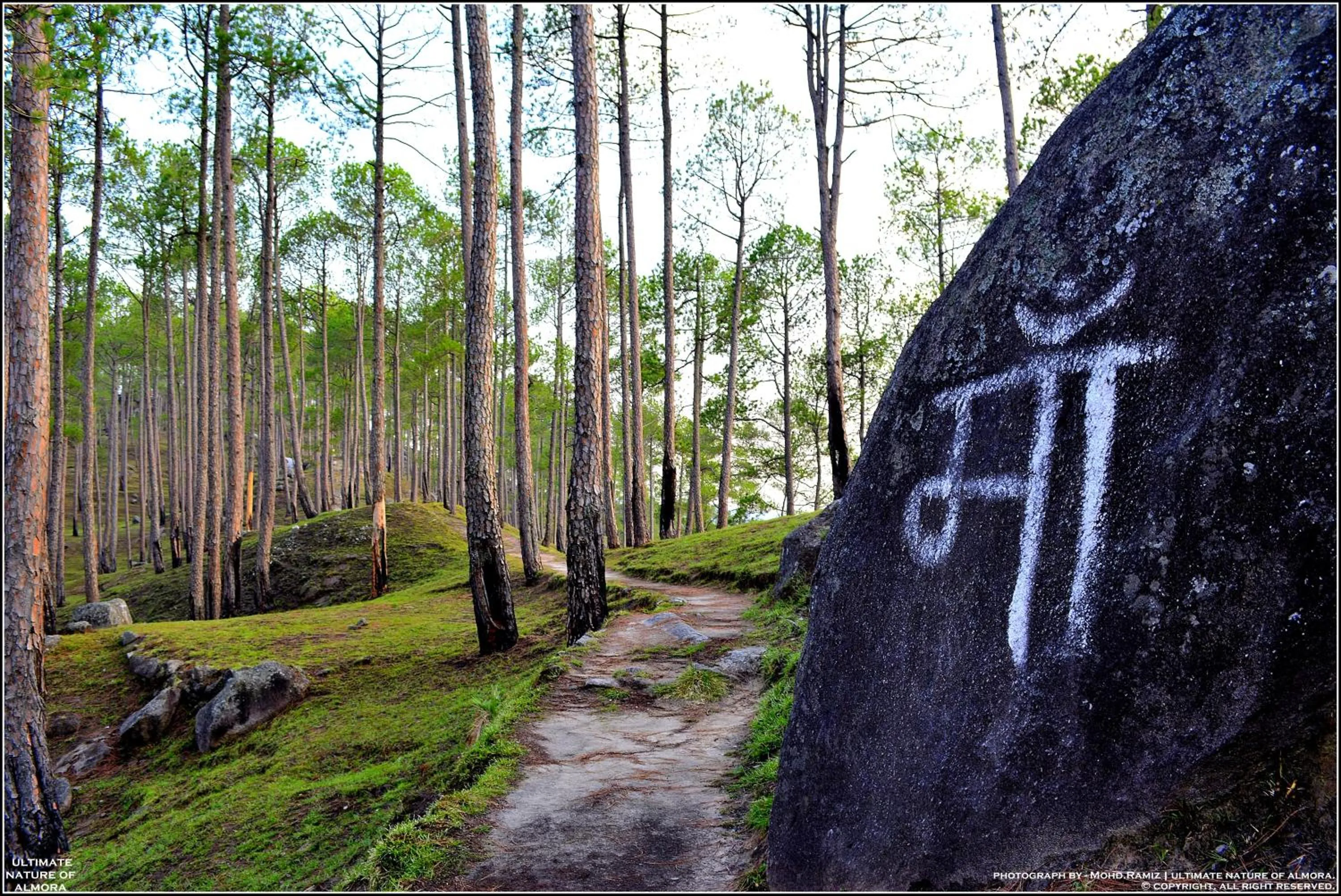Garden in Captains Paradise Luxury Resort at Mukteshwar Hill Station