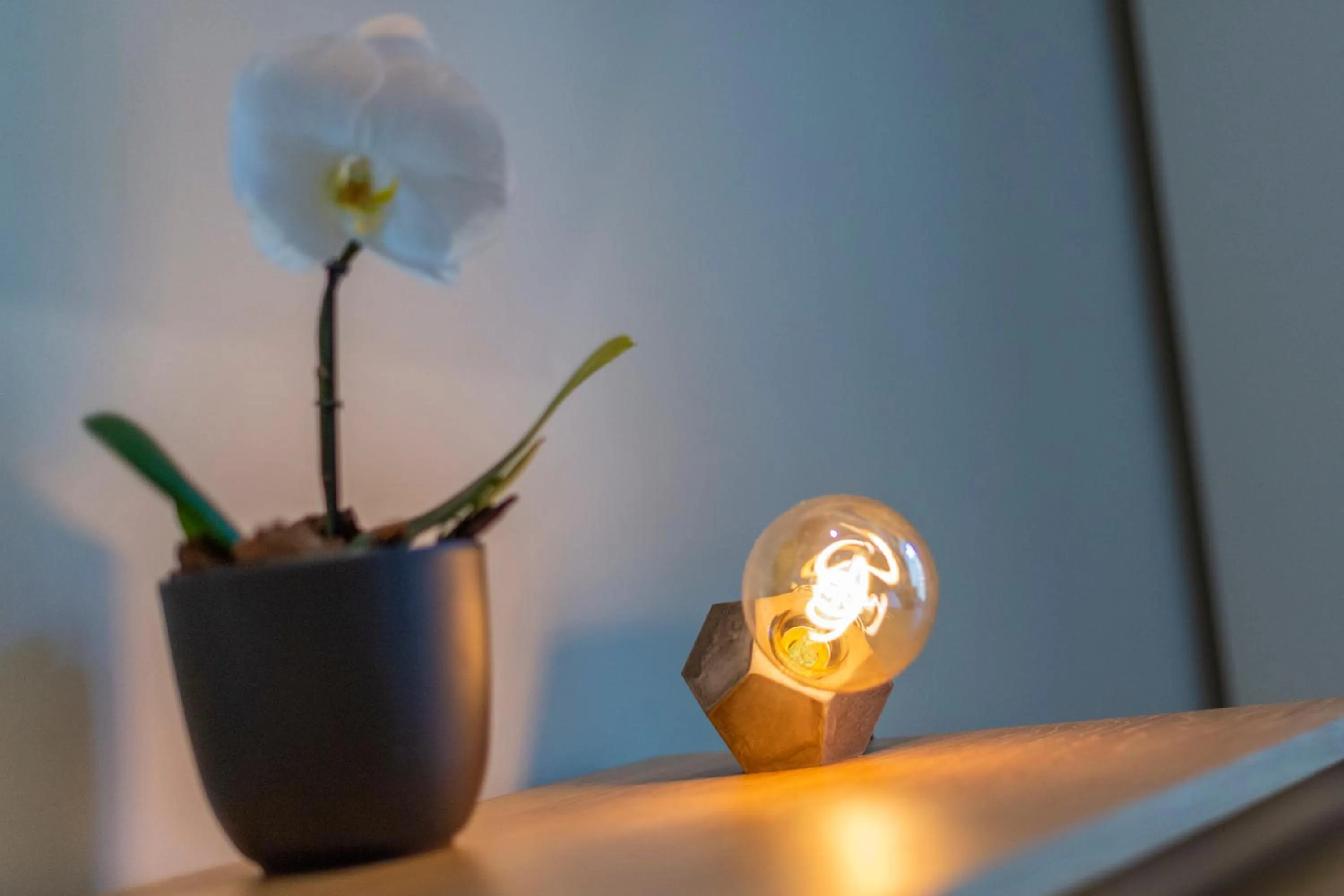 Decorative detail in Design 18 Charming Rooms