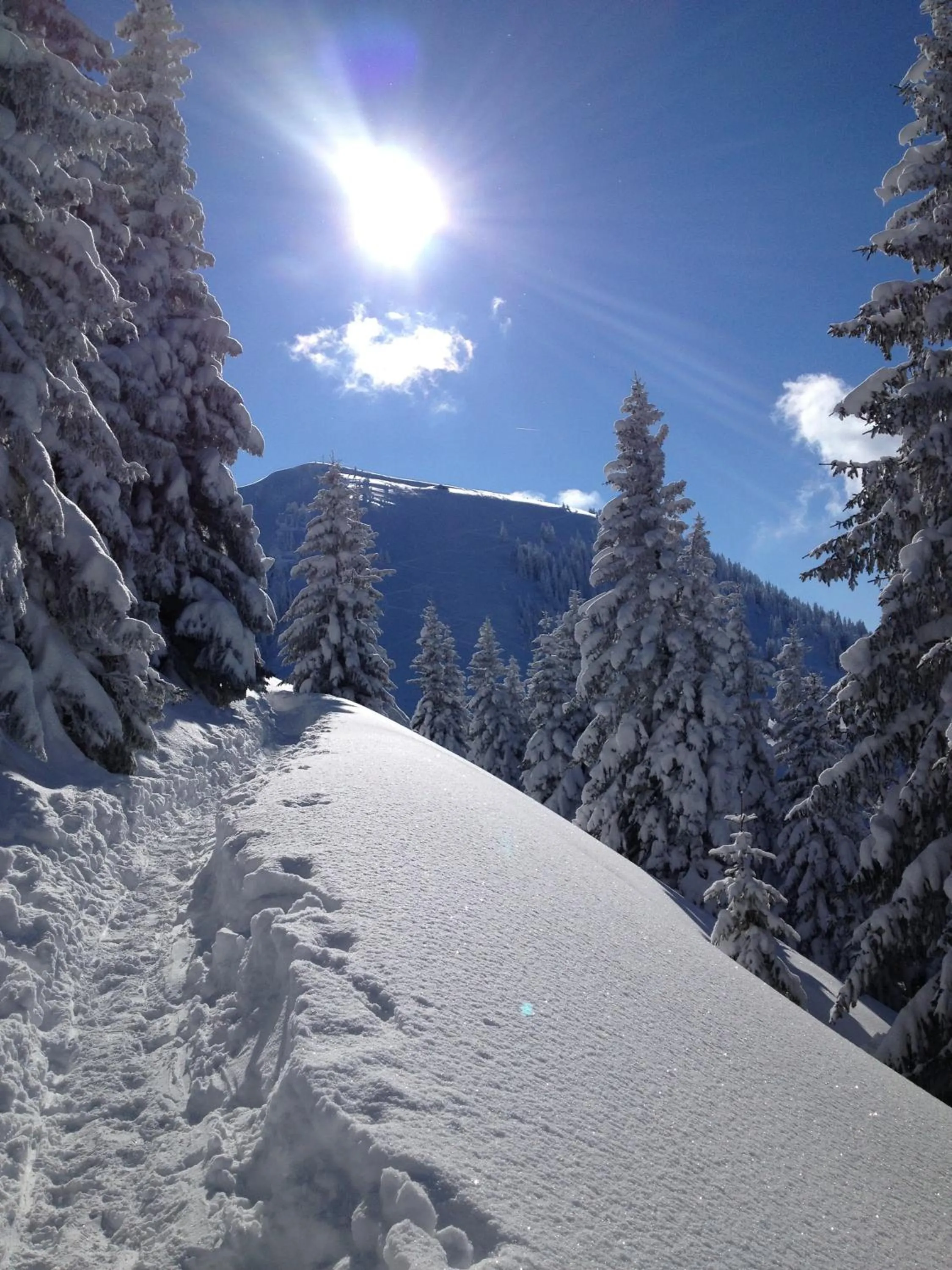 Day in Hotel Bellevue