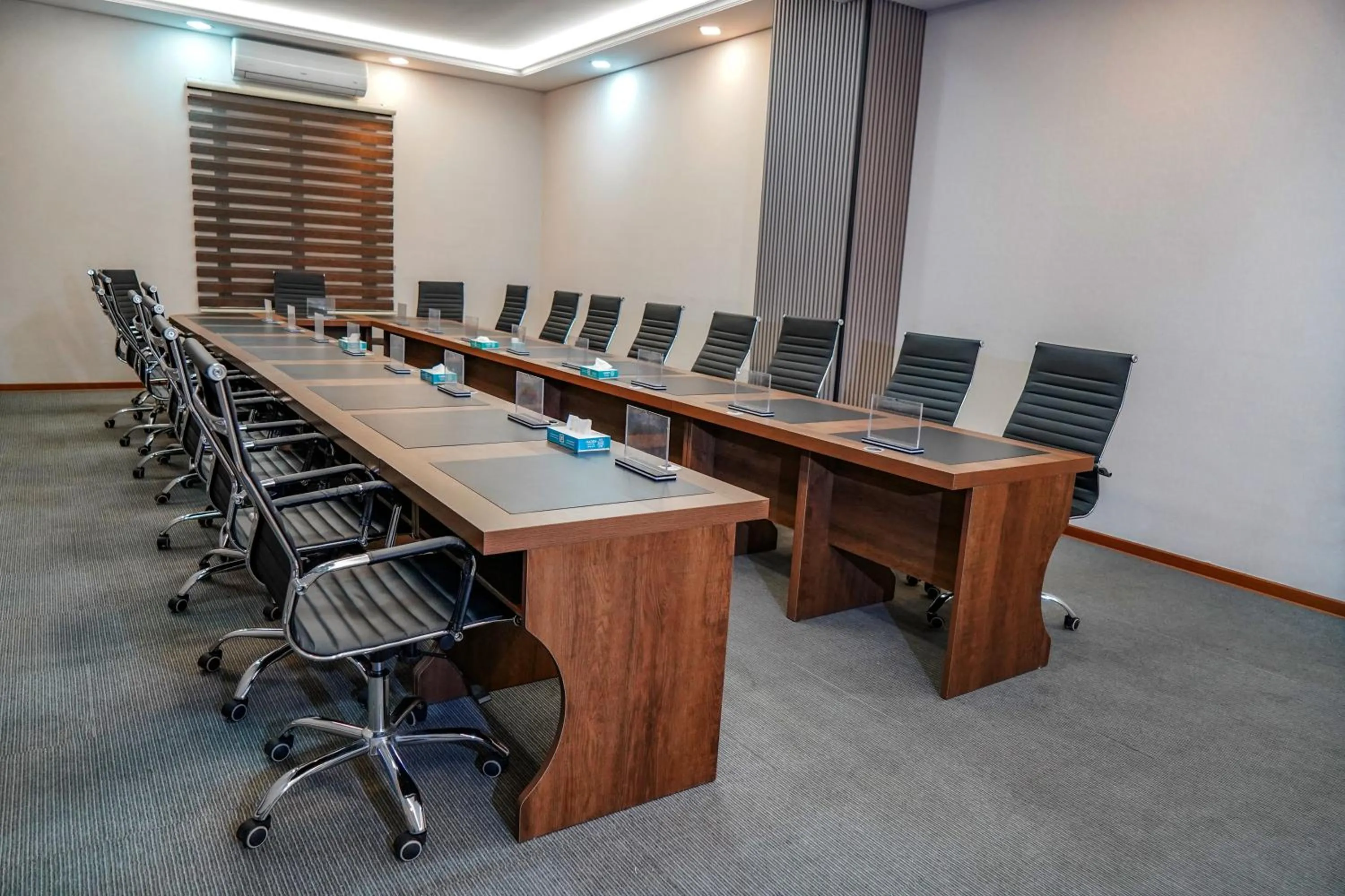 Meeting/conference room in Haden Hotel