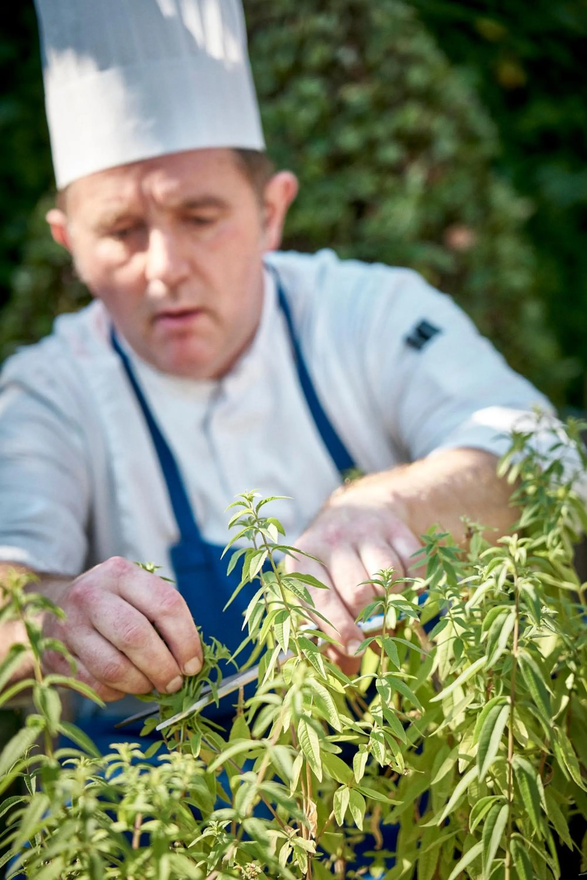 Staff in Hotel Donibane Saint-Jean-de-Luz