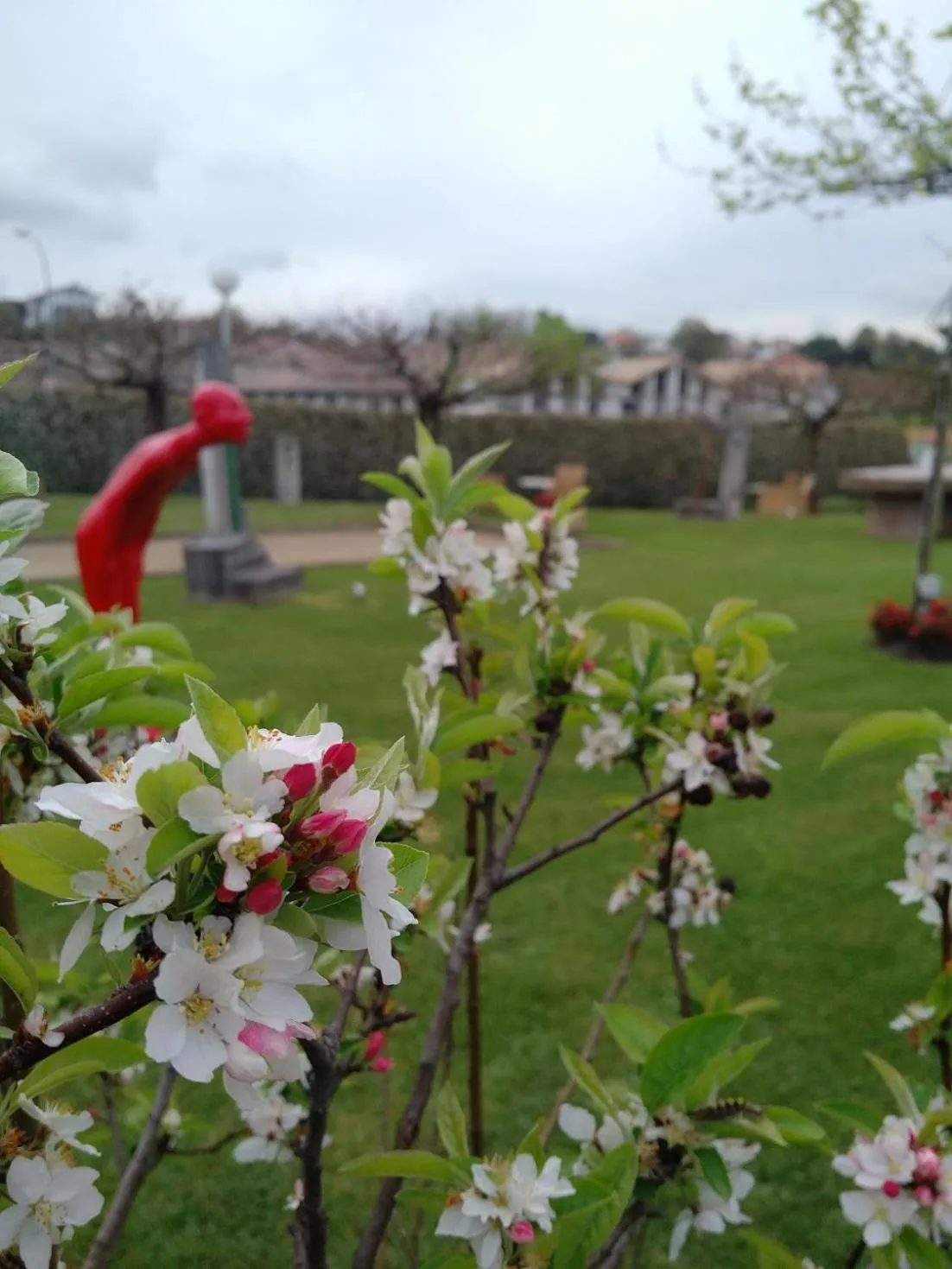 Garden in Hotel Donibane Saint-Jean-de-Luz