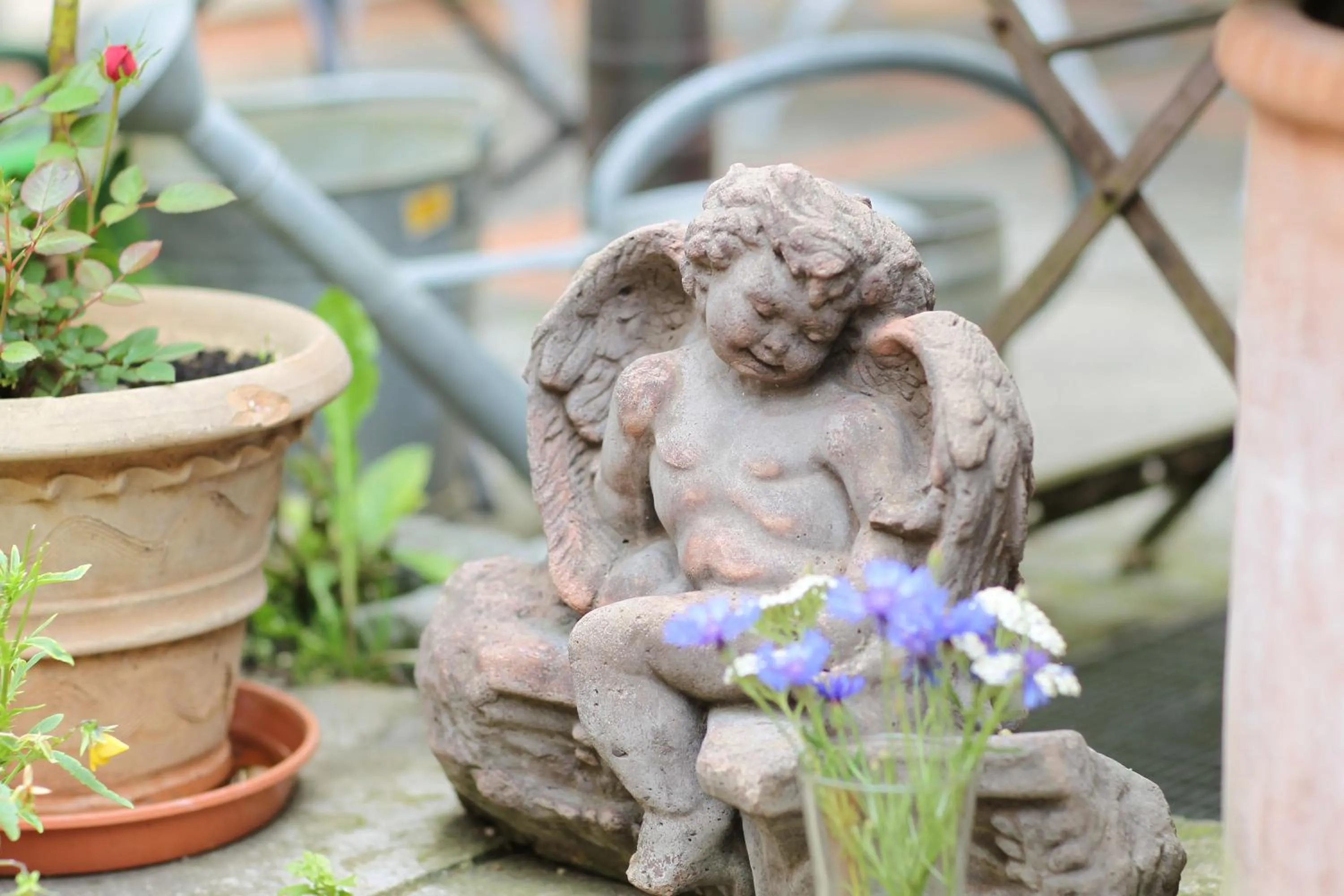 Facade/entrance in Hotel-Restaurant Roter Ochsen