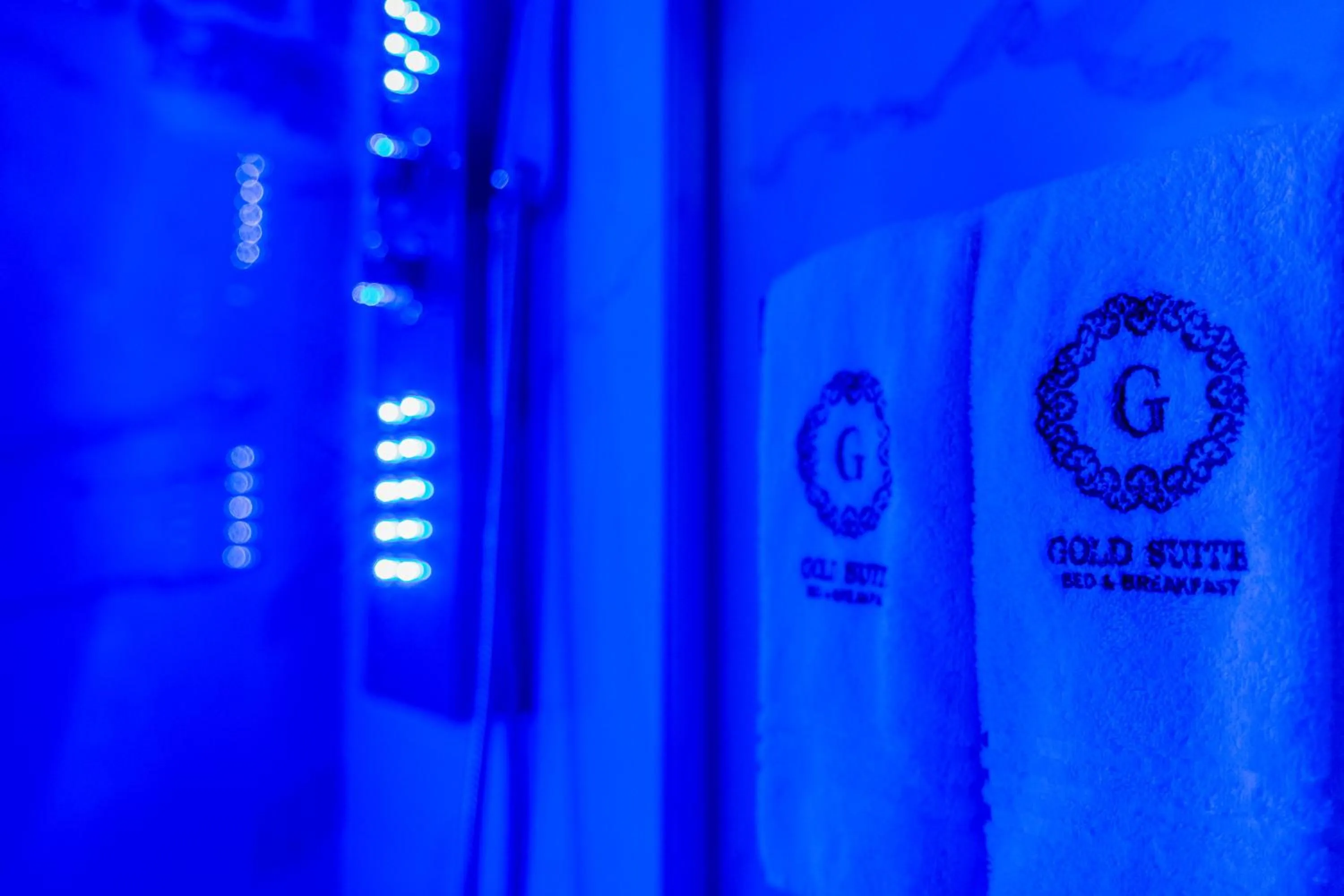 Bathroom in Gold Suite B&B