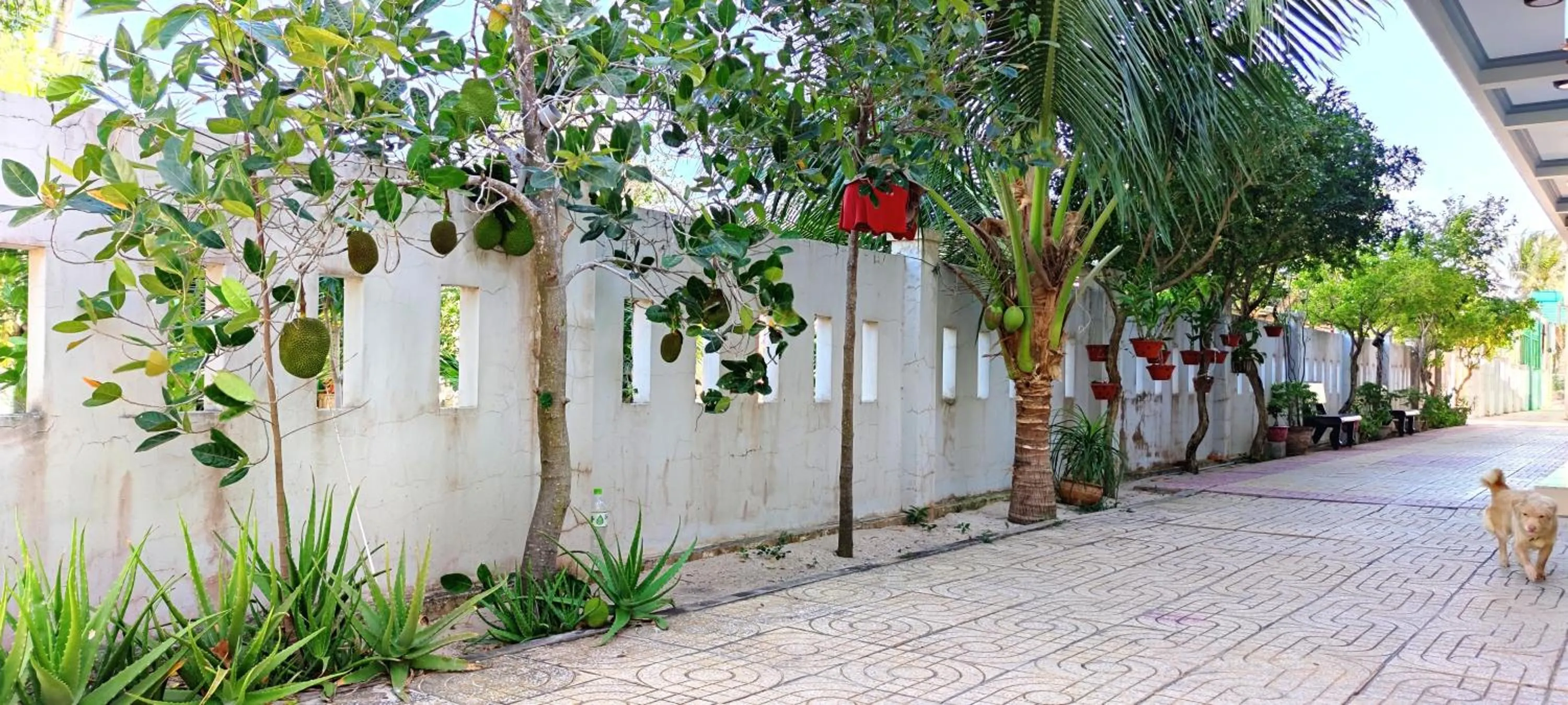 Garden in Cat Tien Guesthouse