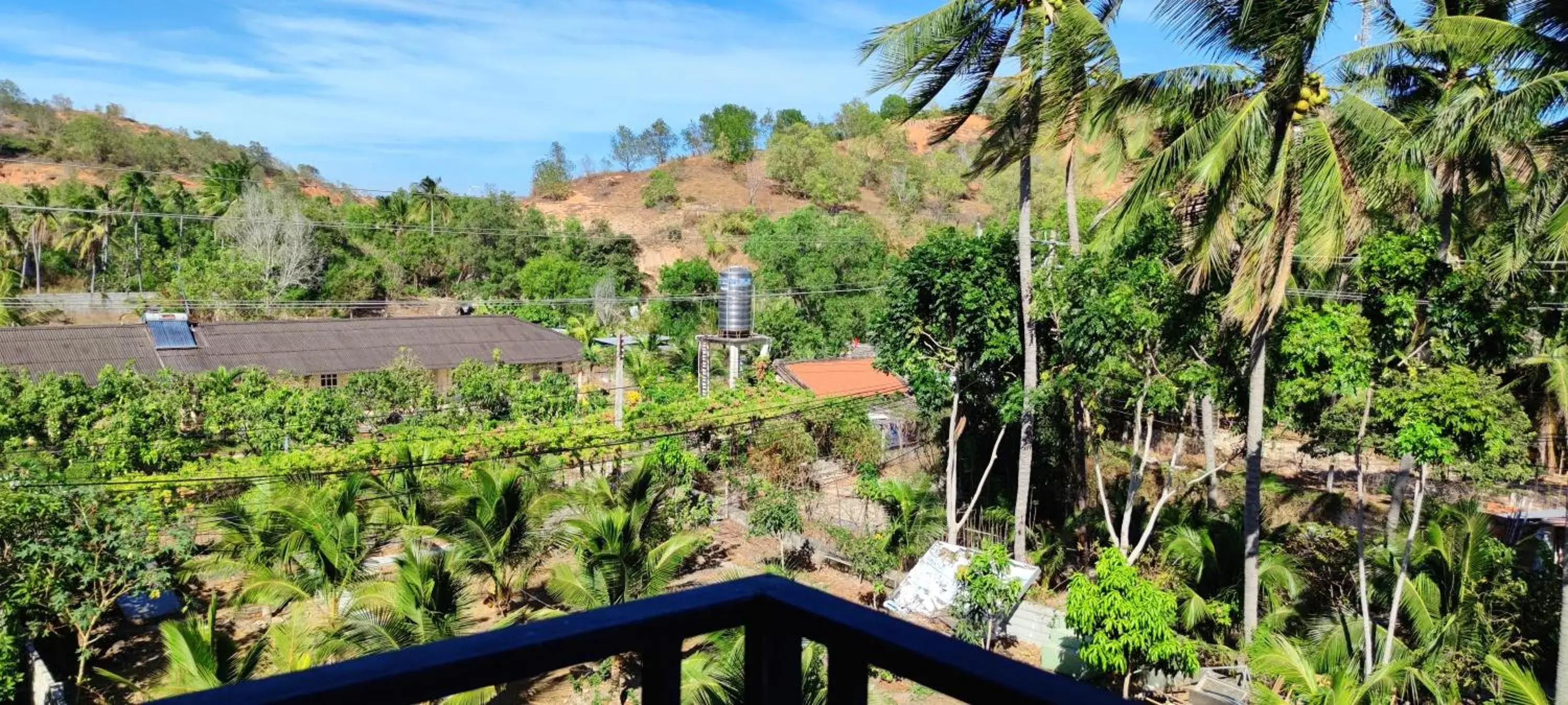 View (from property/room) in Cat Tien Guesthouse View (from property/room) in Cat Tien Guesthouse