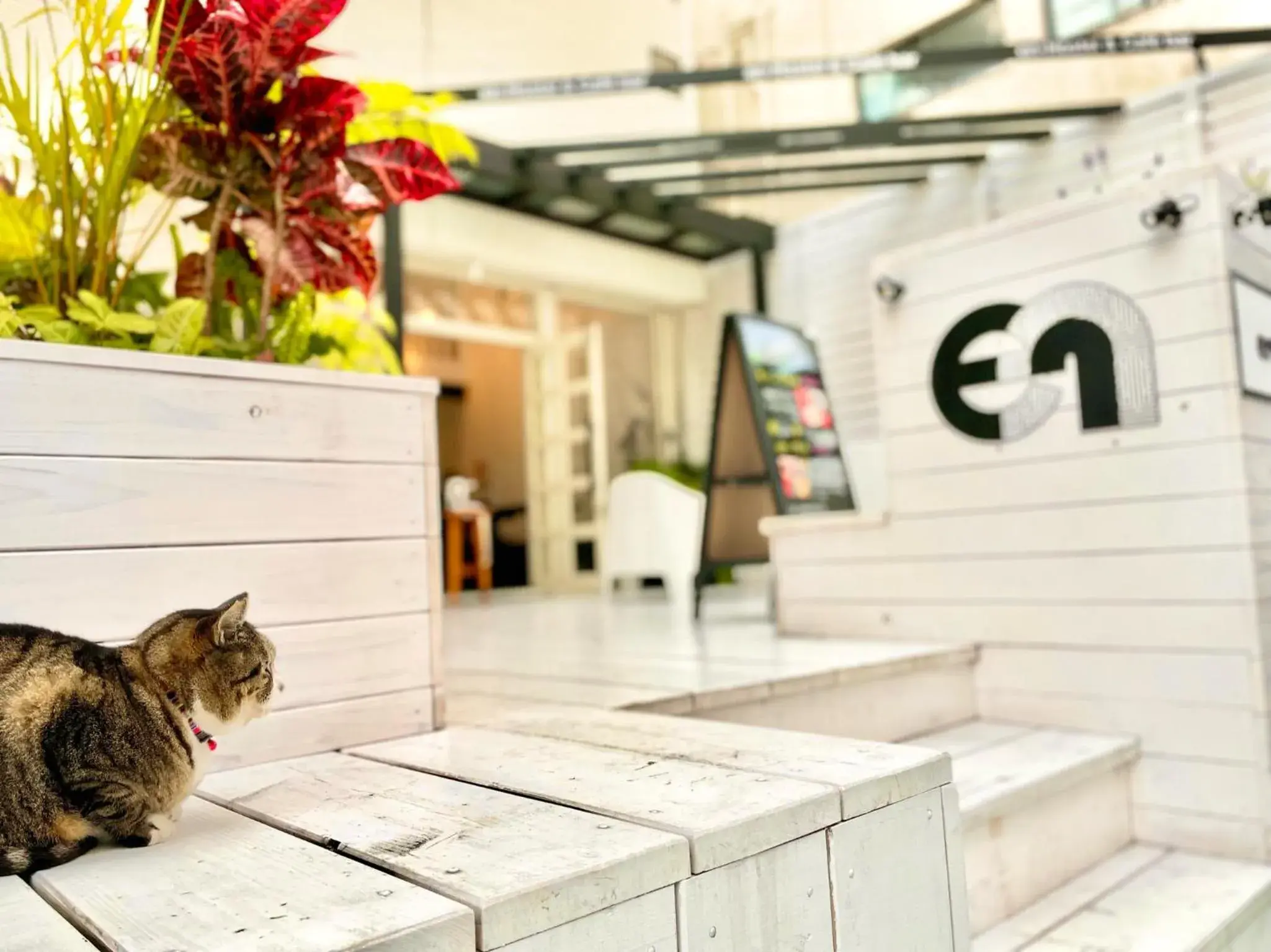 Property building in En- Hostel & Café bar Property building in En- Hostel & Café bar