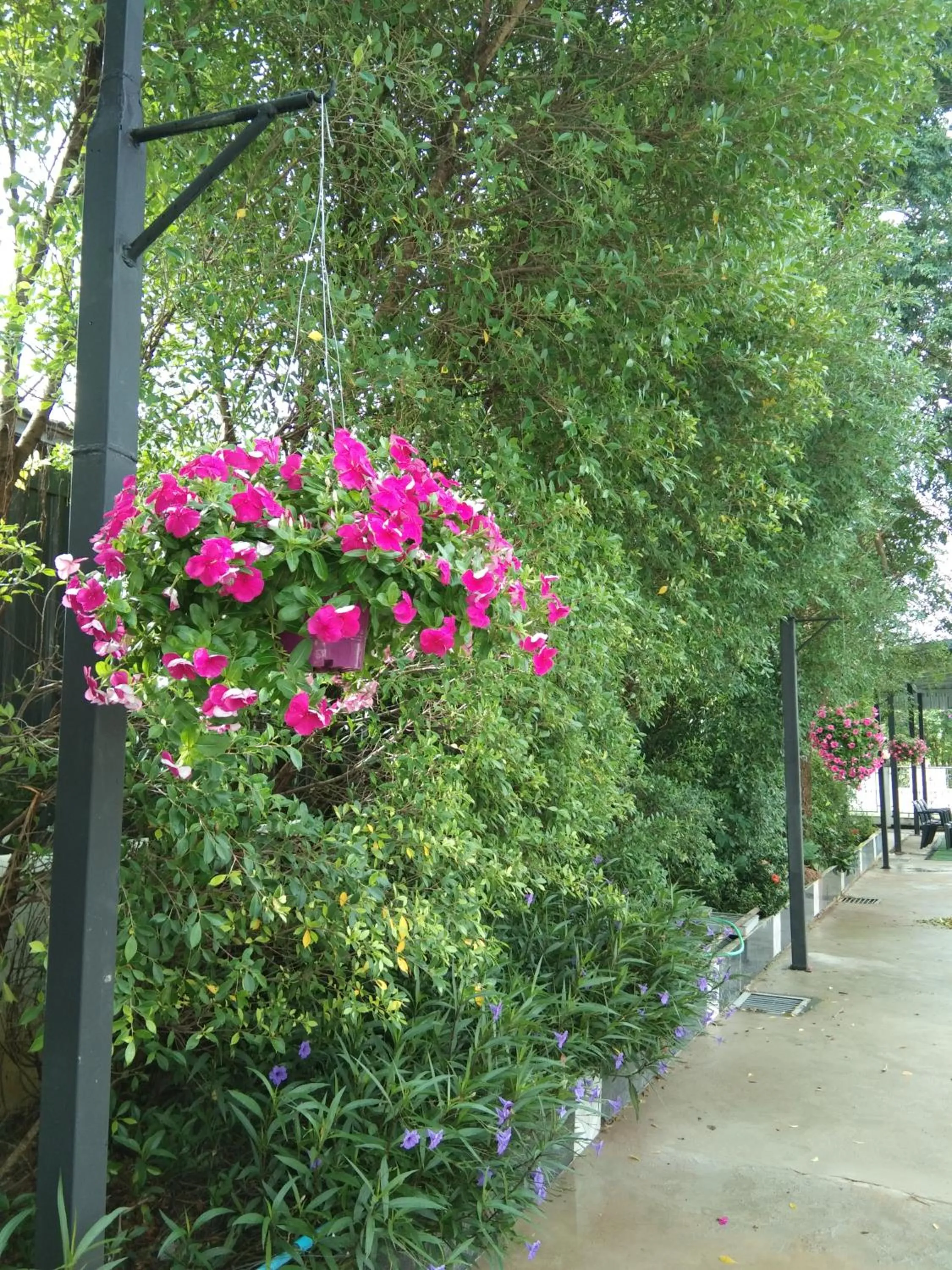 Garden in Cessna Park Resort and Hotel