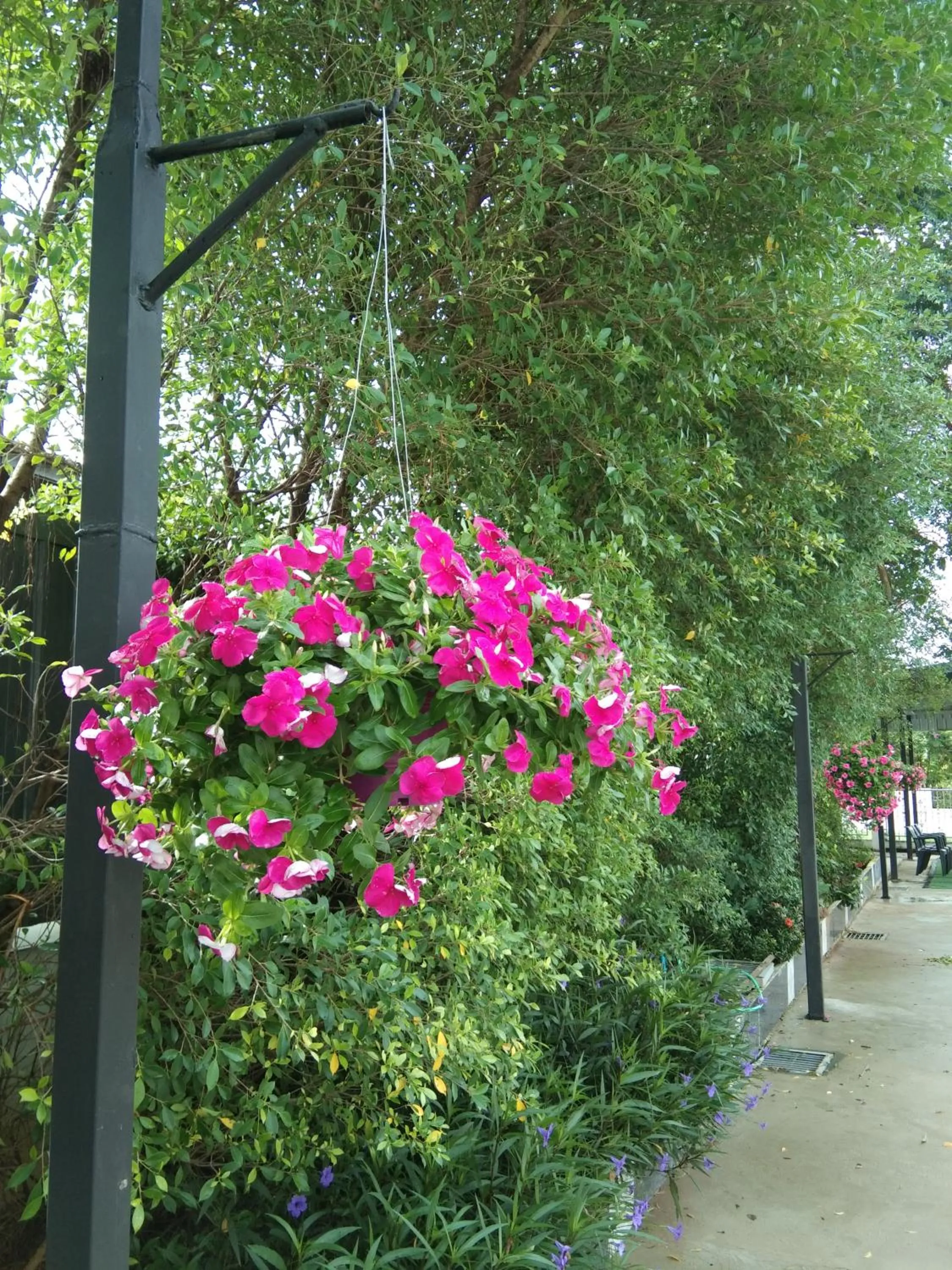 Patio in Cessna Park Resort and Hotel