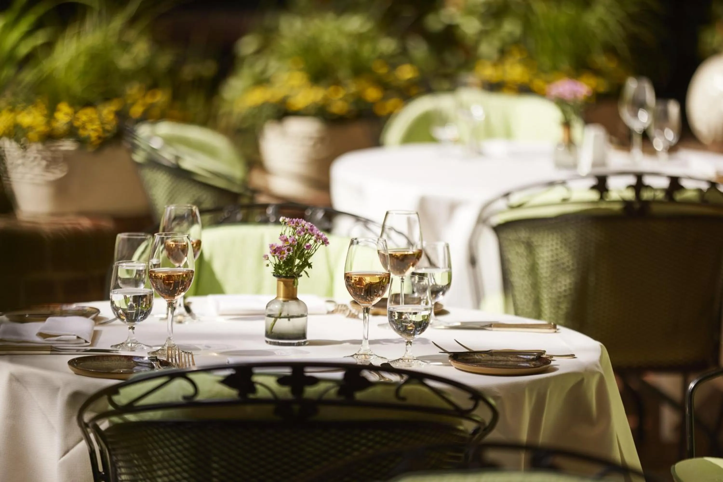 Restaurant/places to eat in Parkhotel Gütersloh