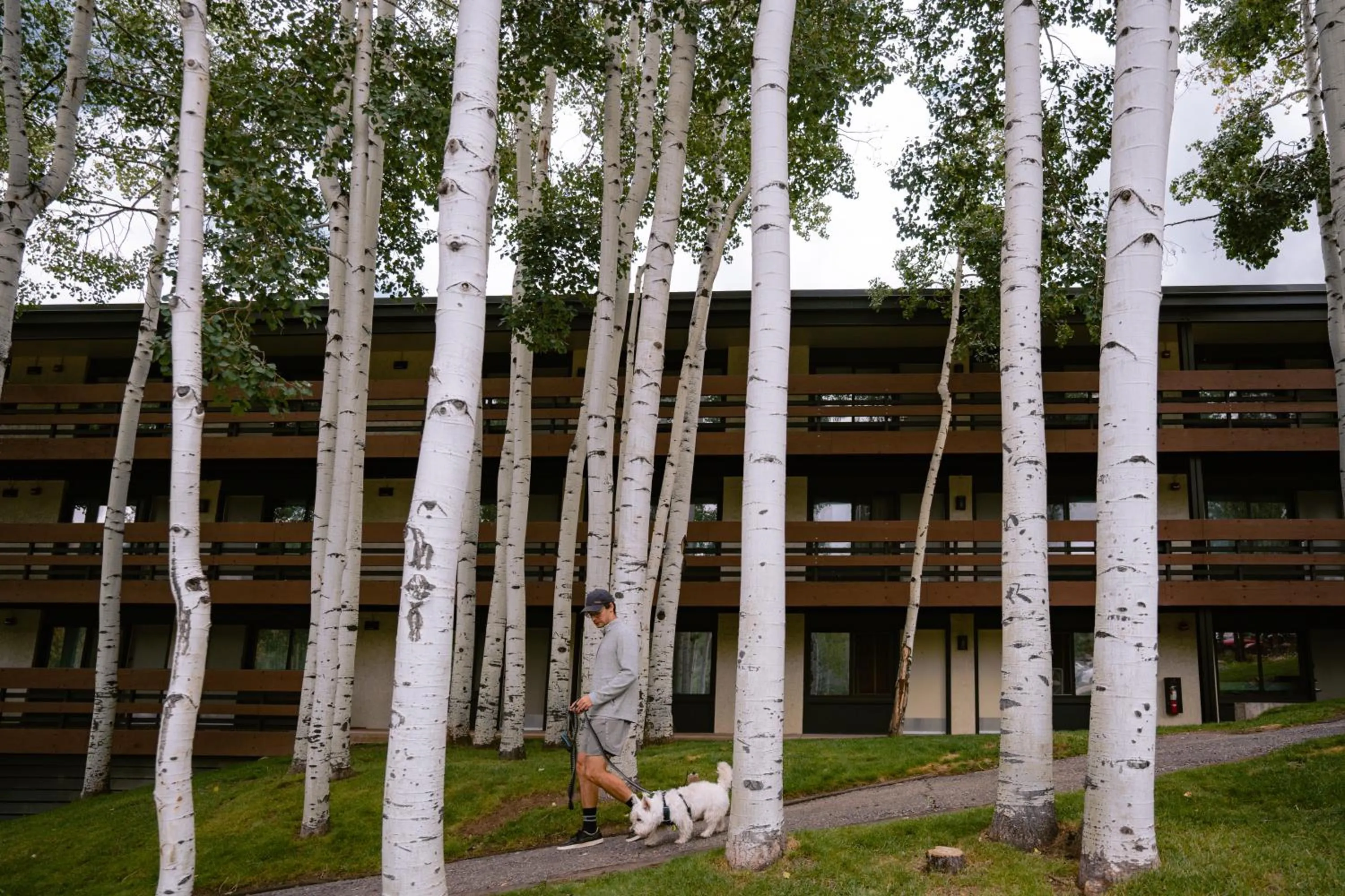 Property building in Wildwood Snowmass