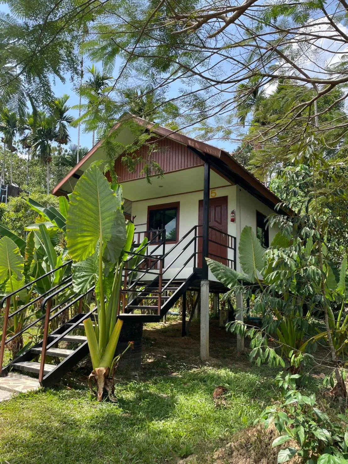 Khao Sok River & Jungle Resort