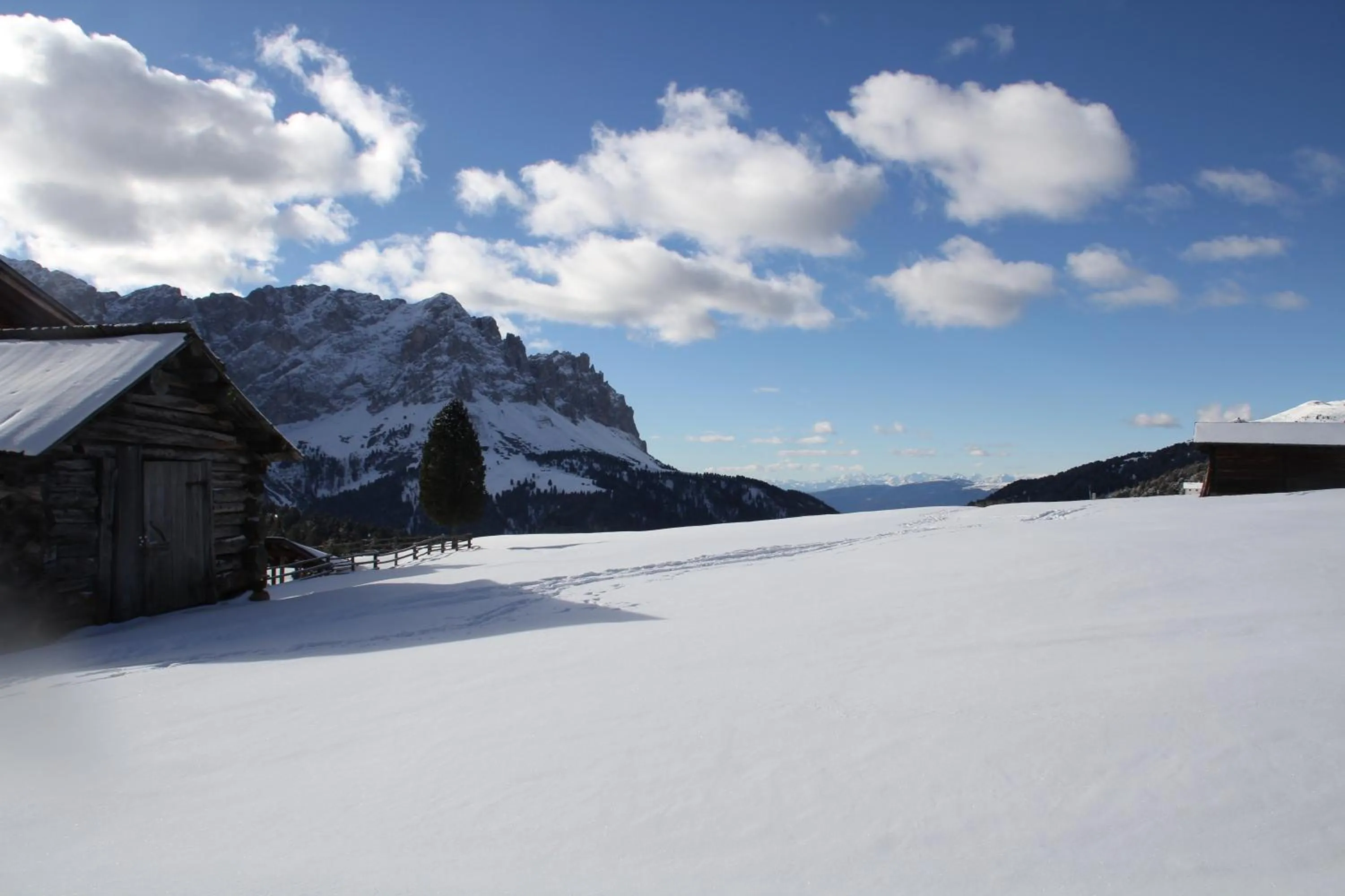 Natural landscape in B&B Ciasa Brüscia