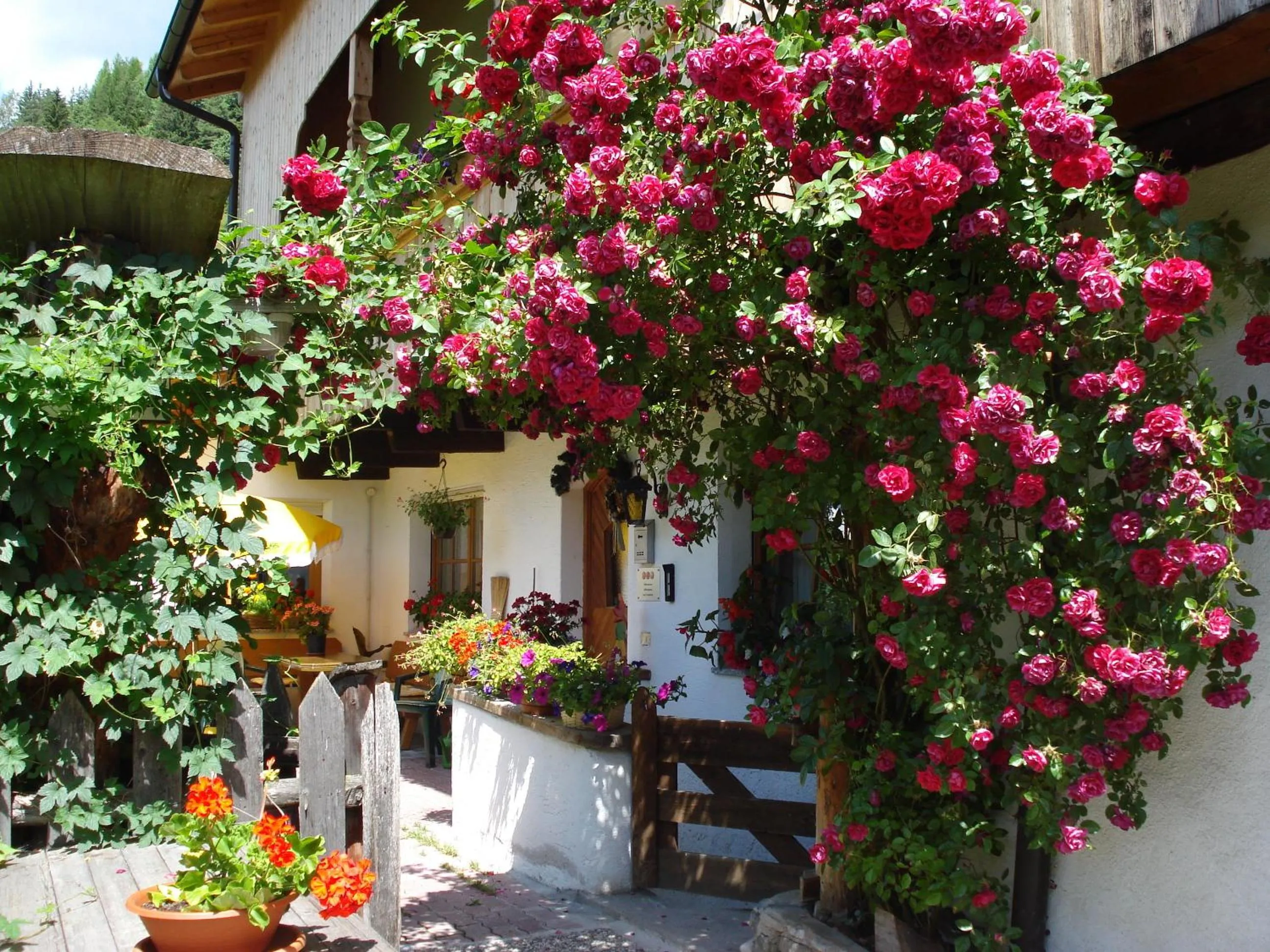 Balcony/Terrace in B&B Ciasa Brüscia