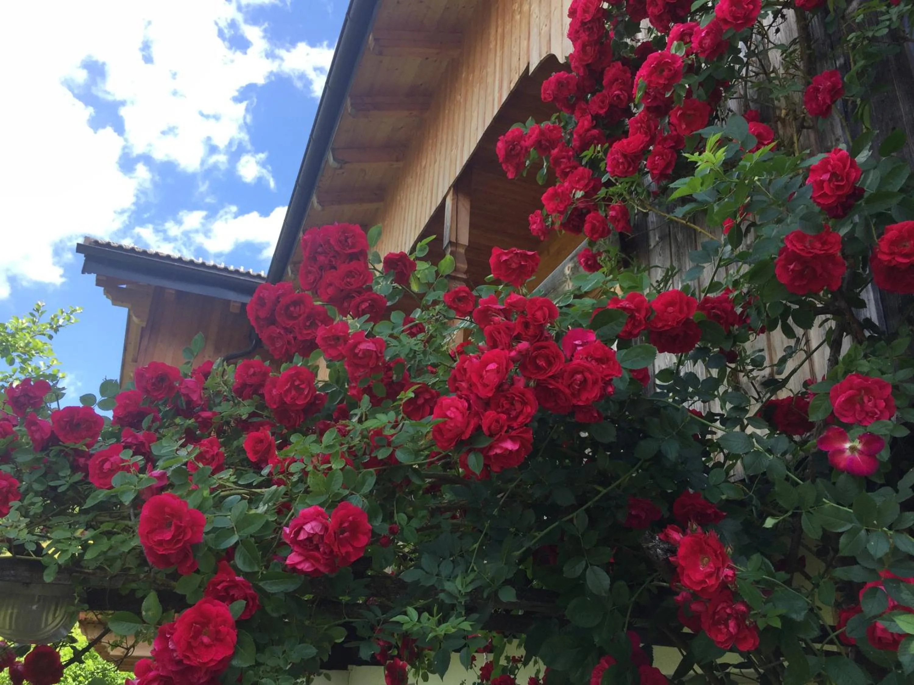 Facade/entrance in B&B Ciasa Brüscia