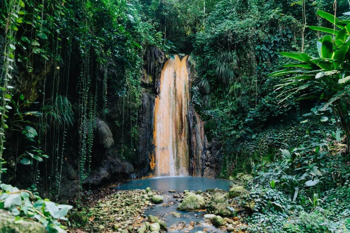 Activities in Zoetry Marigot Bay - All Inclusive