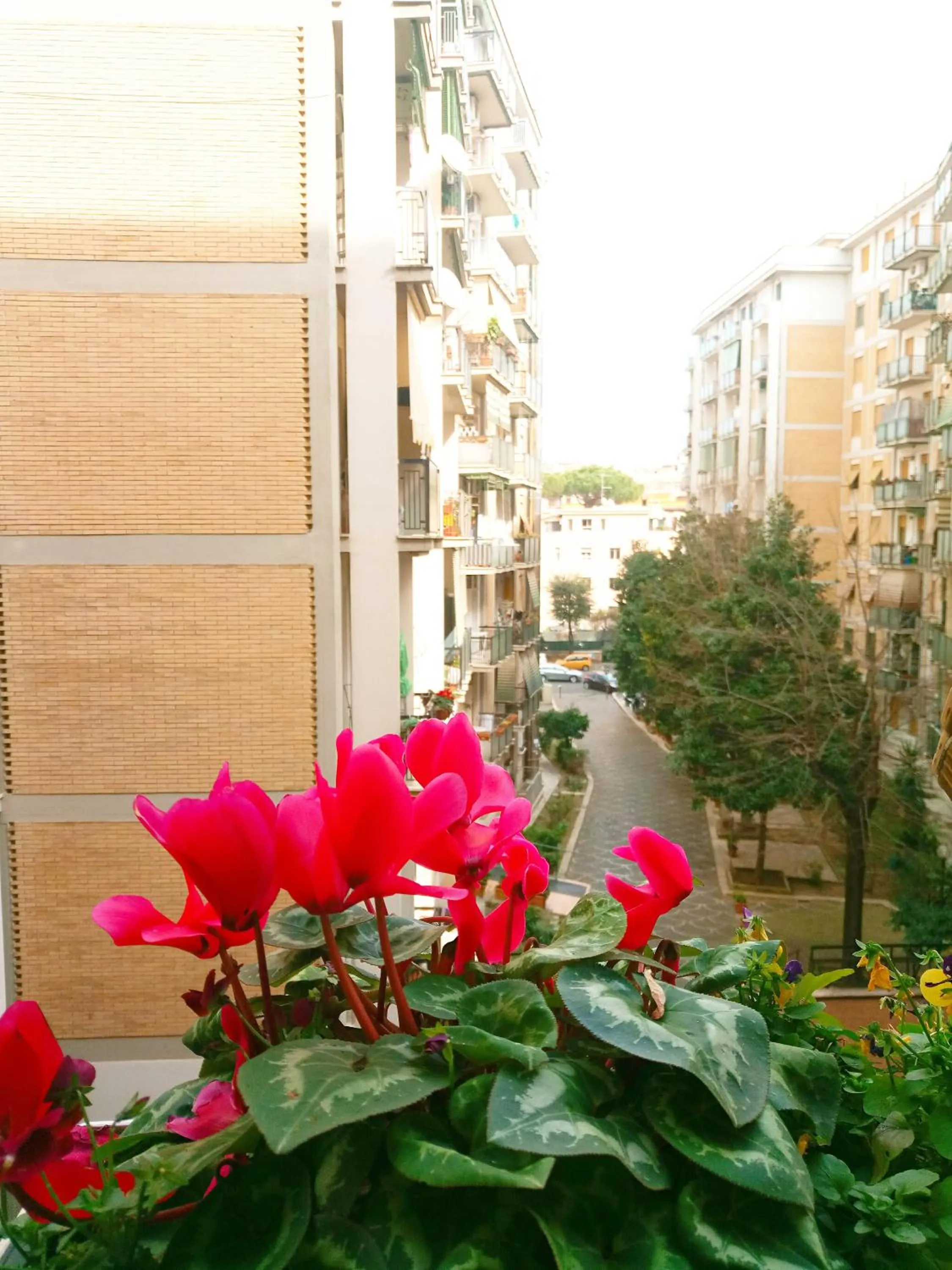 Property building in Green Line