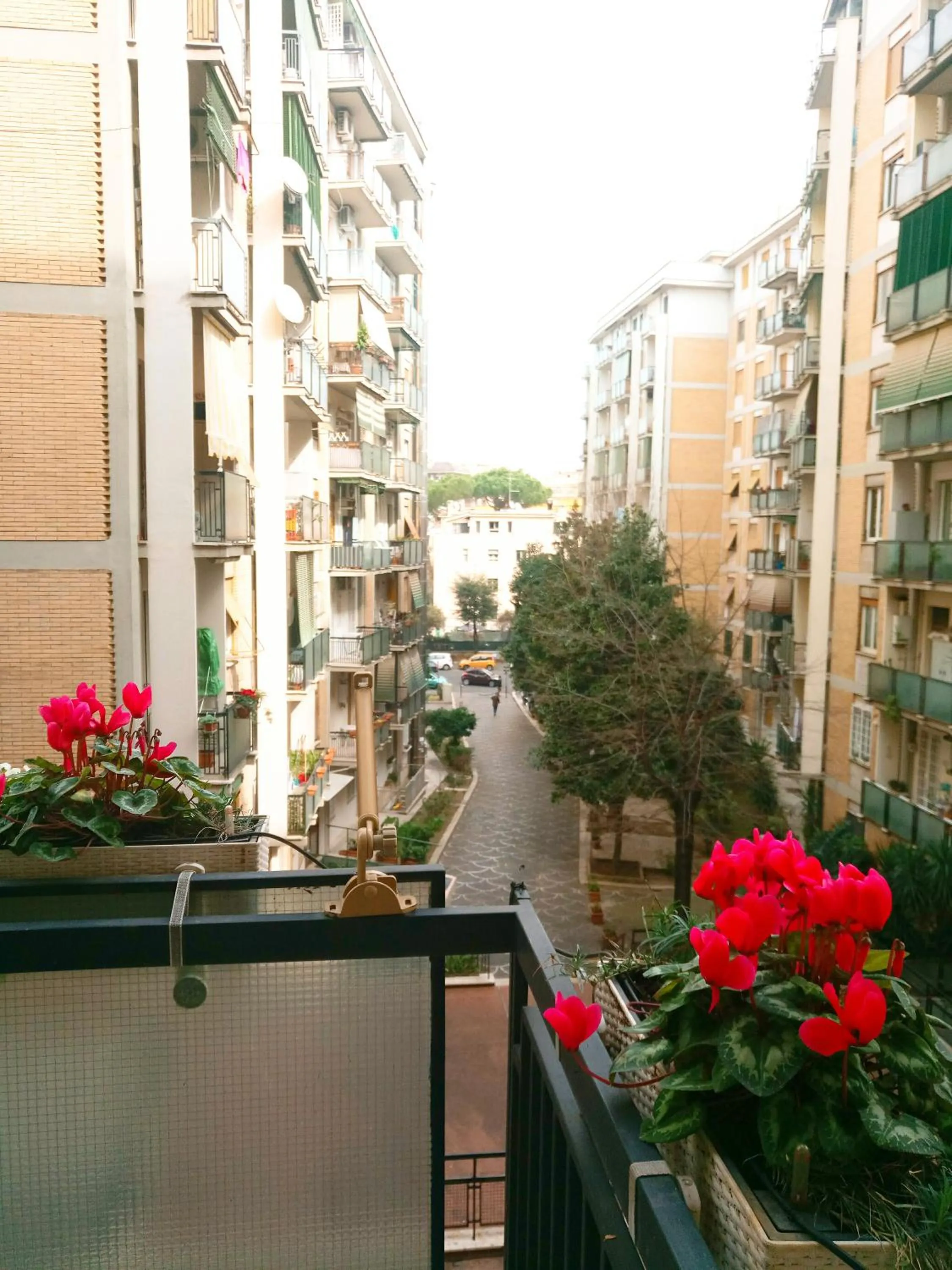 Property building in Green Line