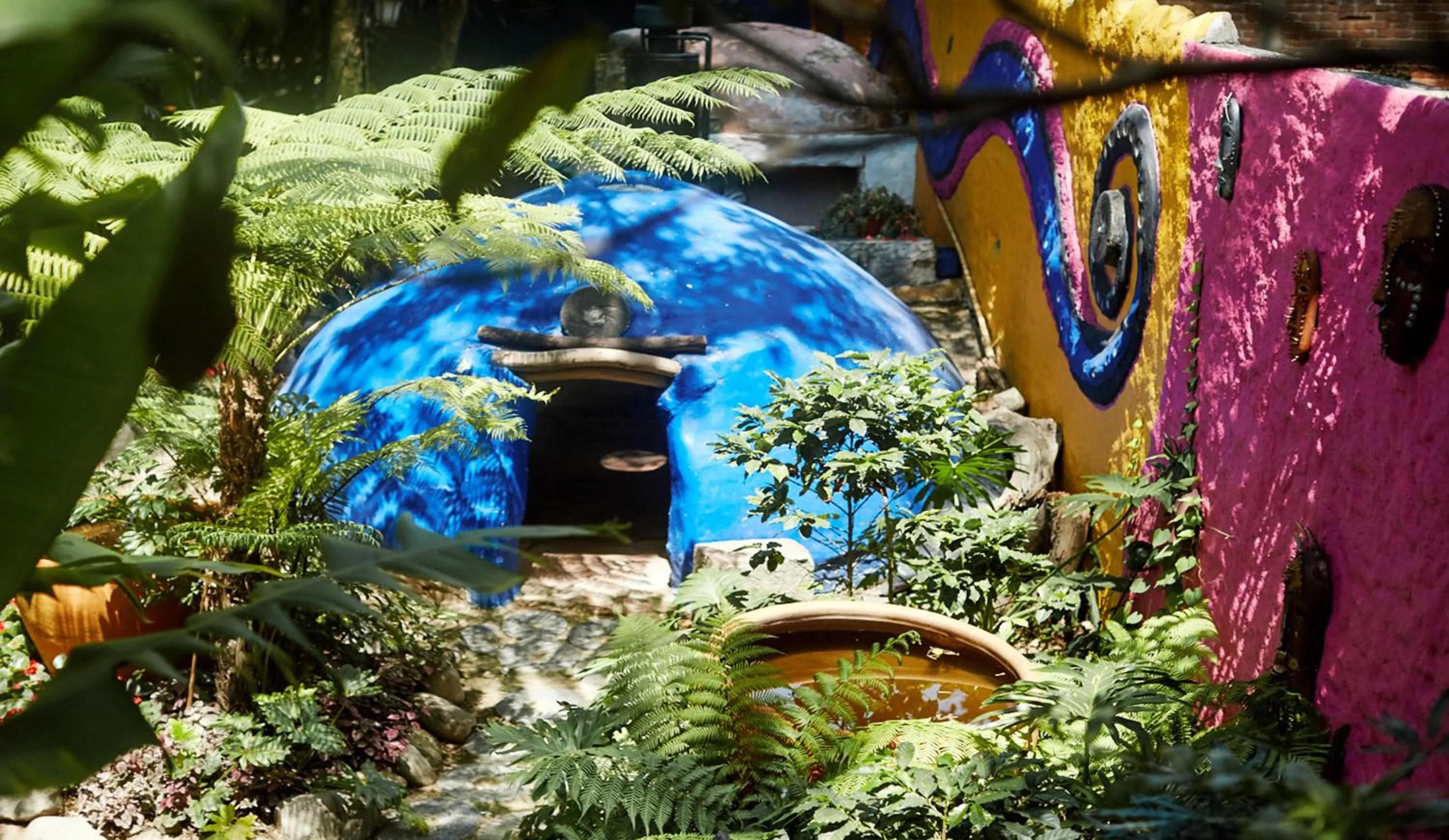 Garden in Mesón De Leyendas Breakfast & Downtown