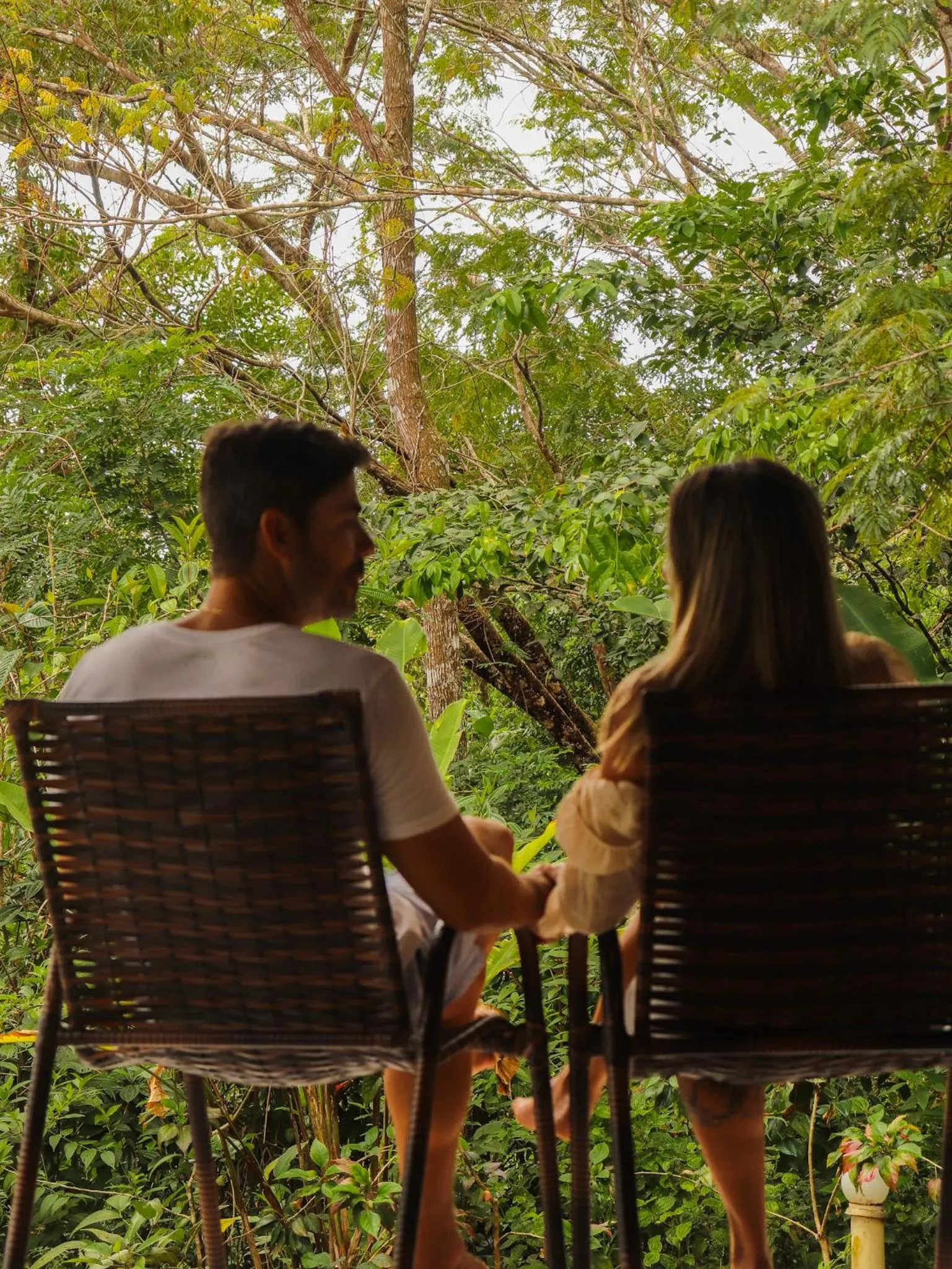 Natural landscape in Chalés Pura Vida