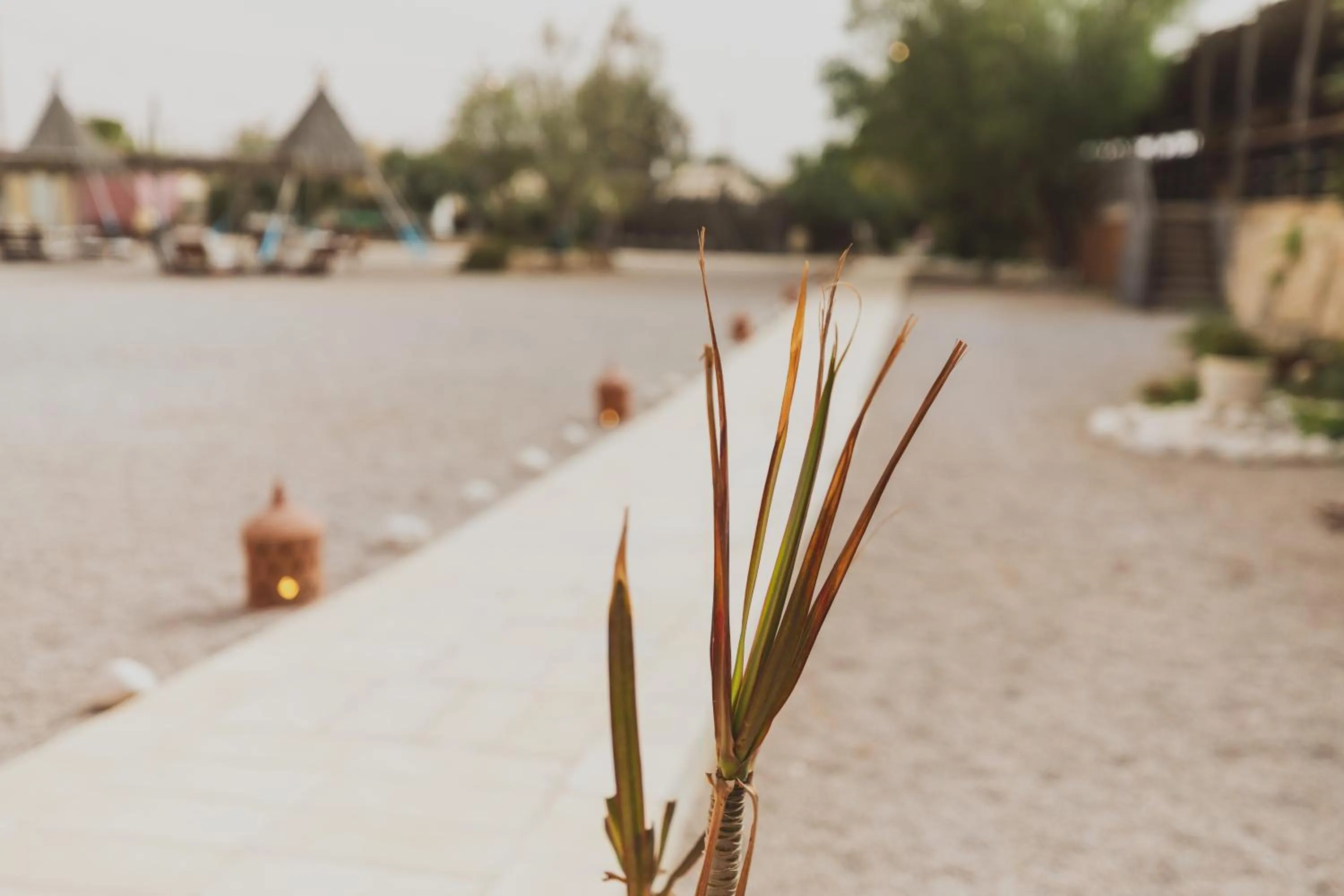 Property building in Jacob Mitzpe Ramon
