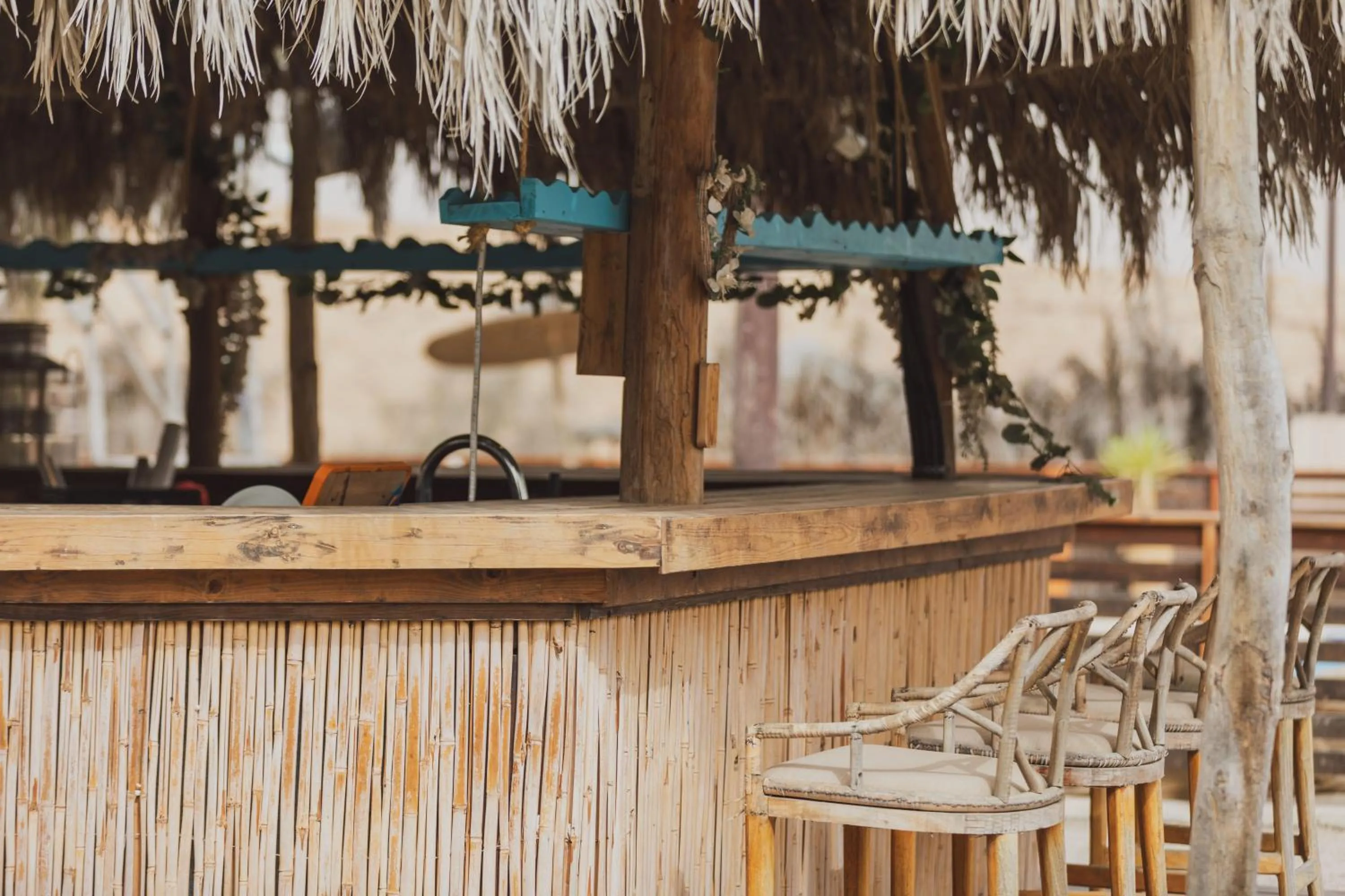 Day in Jacob Mitzpe Ramon