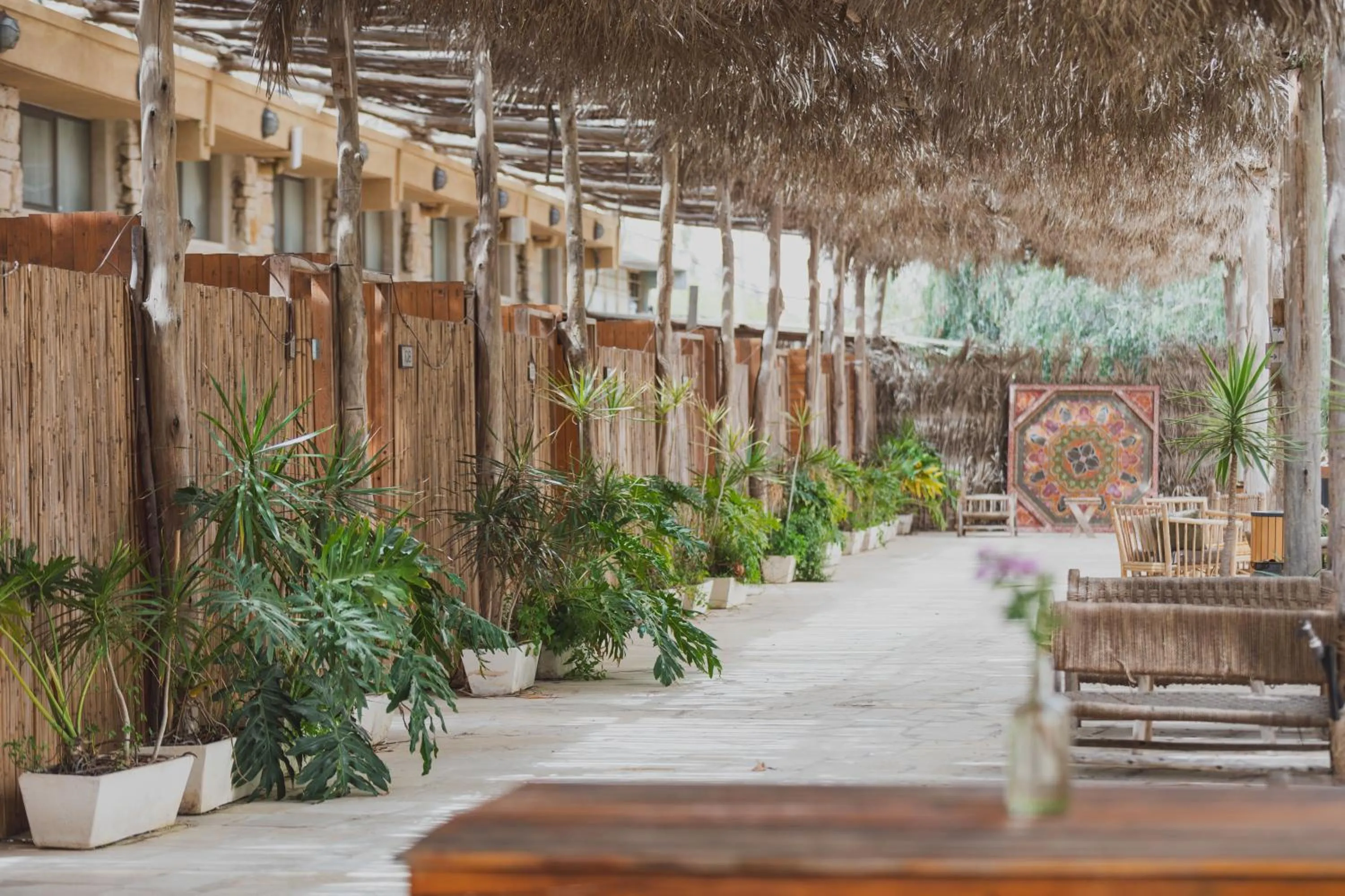 Day in Jacob Mitzpe Ramon