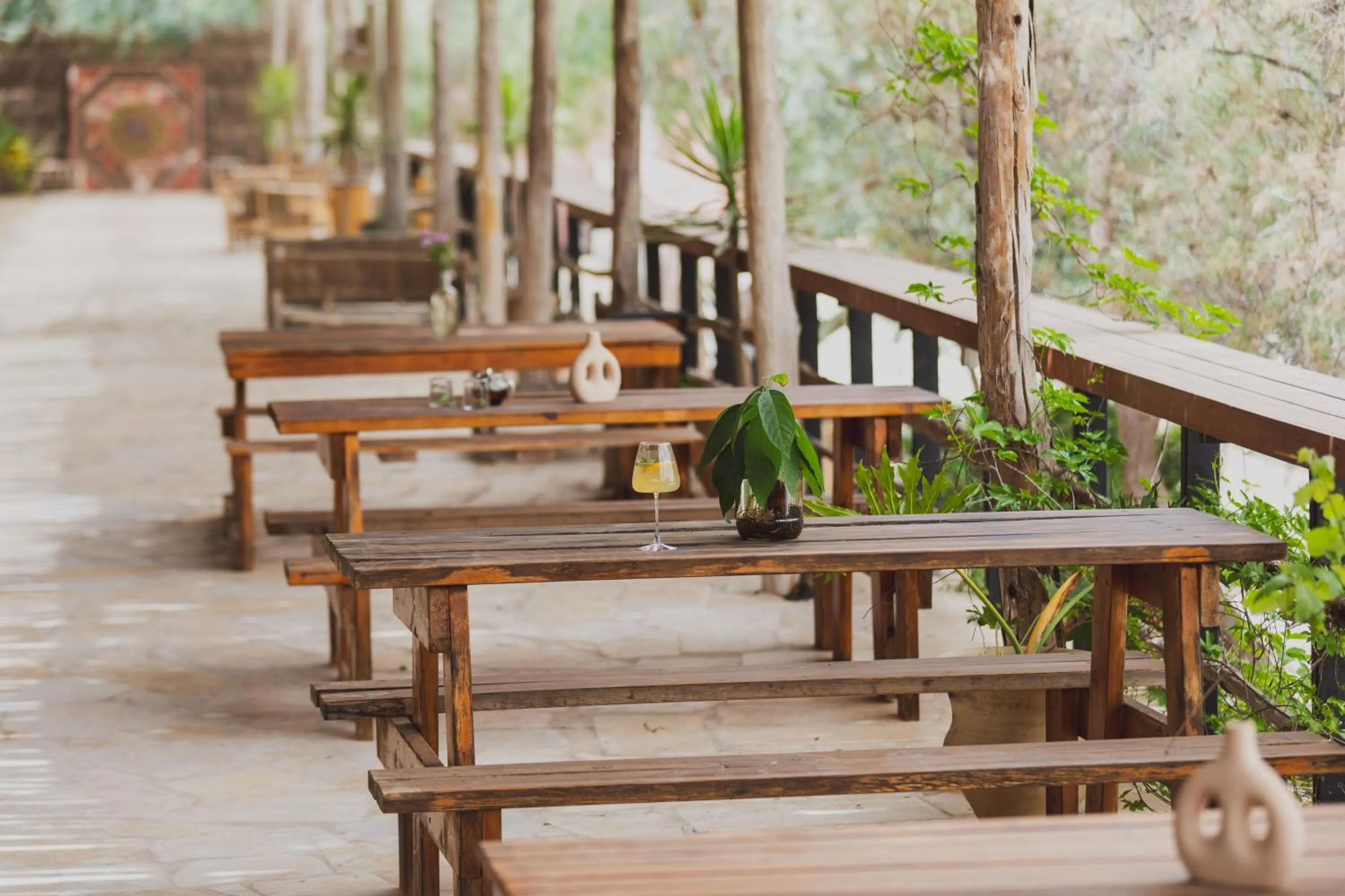 Day in Jacob Mitzpe Ramon
