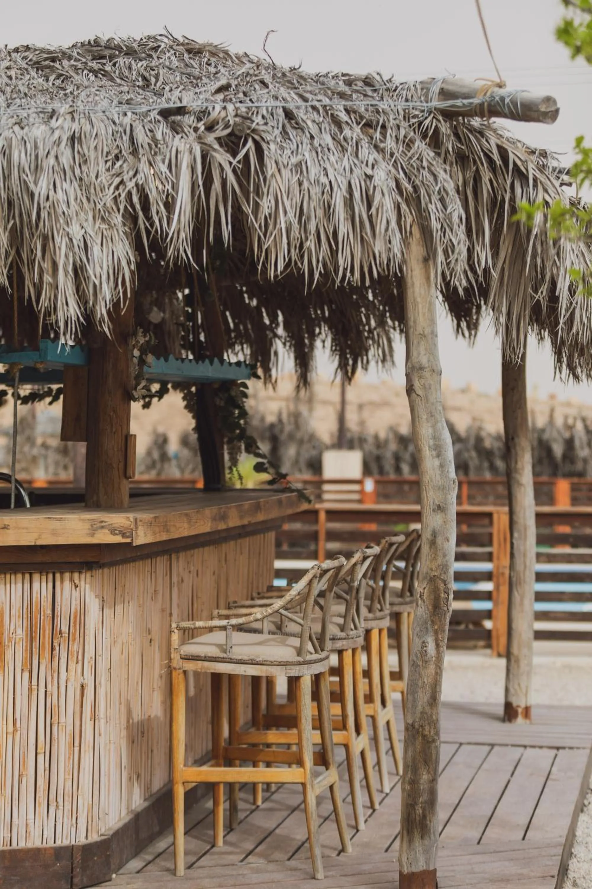 Lounge or bar in Jacob Mitzpe Ramon