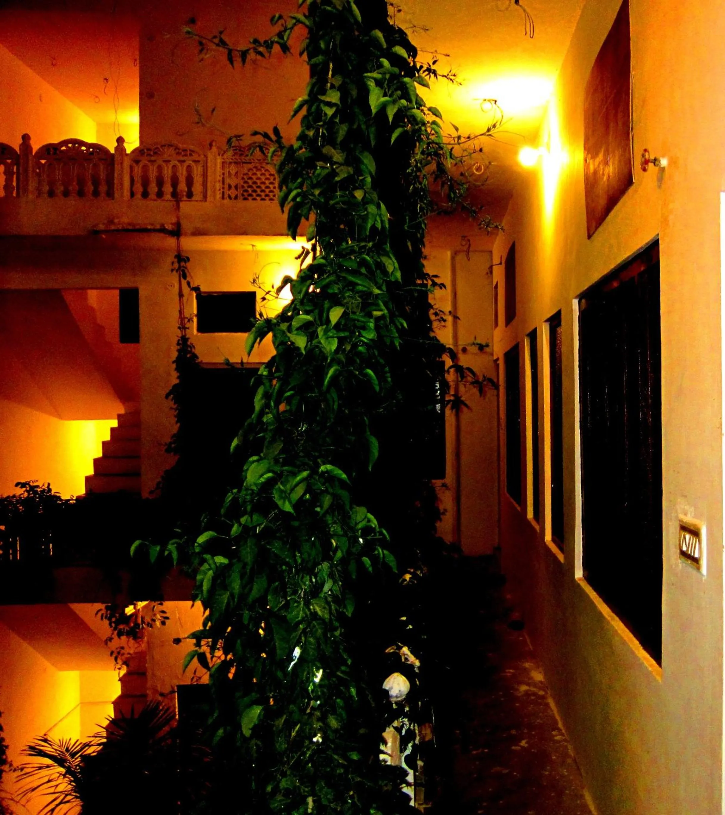 Basic Double Room in Atithi Guest House Pushkar