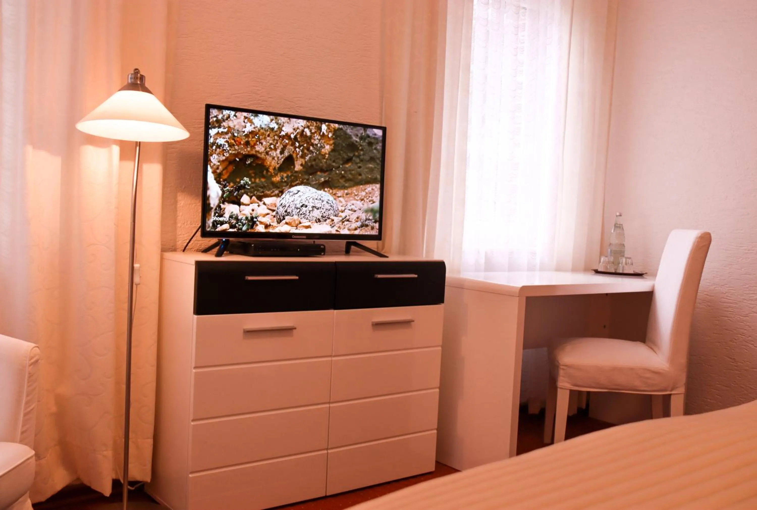 TV and multimedia, Bed in Landhotel-Restaurant Schwalbennest